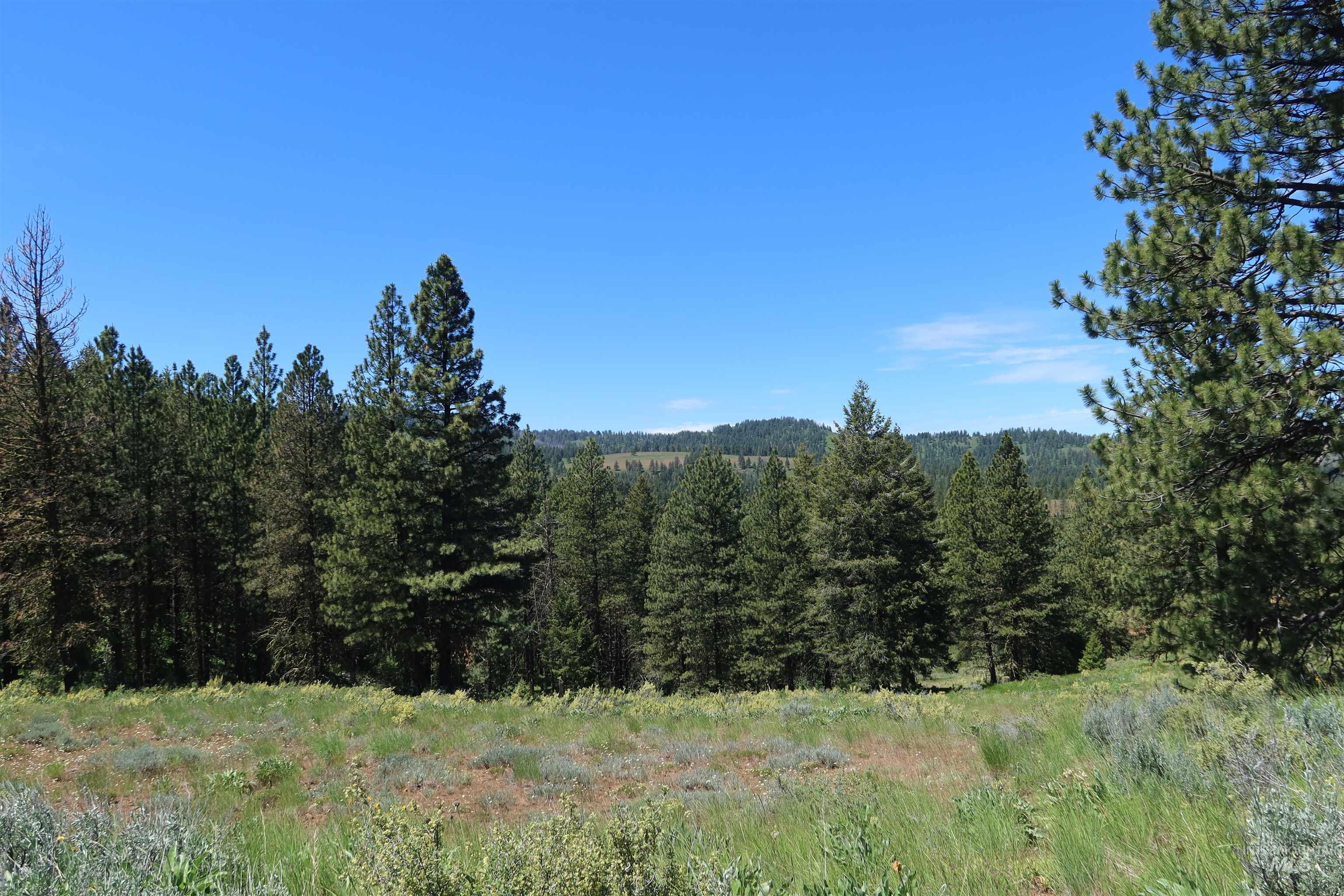 TBD Council Cuprum Rd, Council, Idaho 83612, Land For Sale, Price $399,000,MLS 98912914