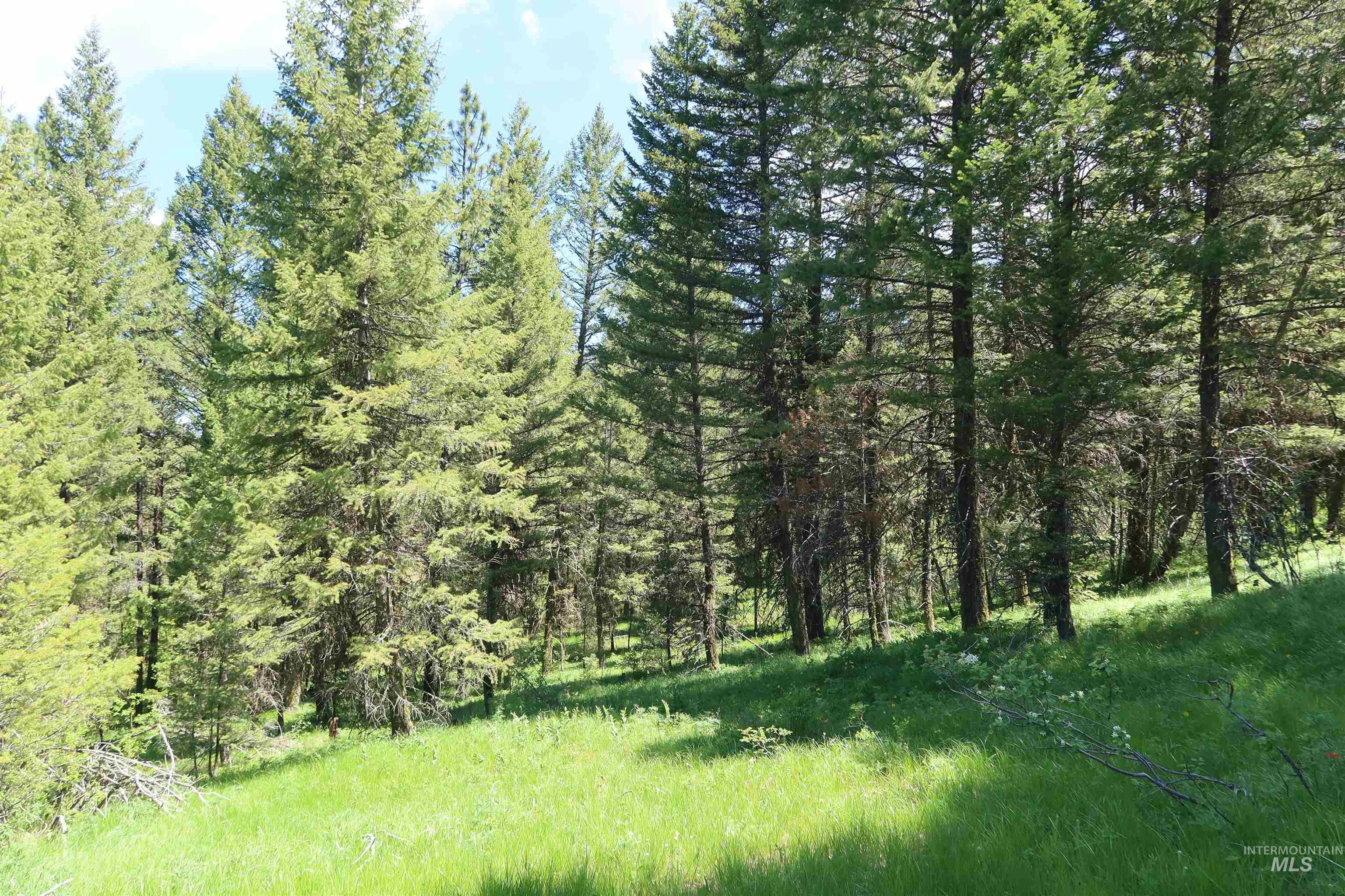TBD Council Cuprum Rd, Council, Idaho 83612, Land For Sale, Price $399,000,MLS 98912914