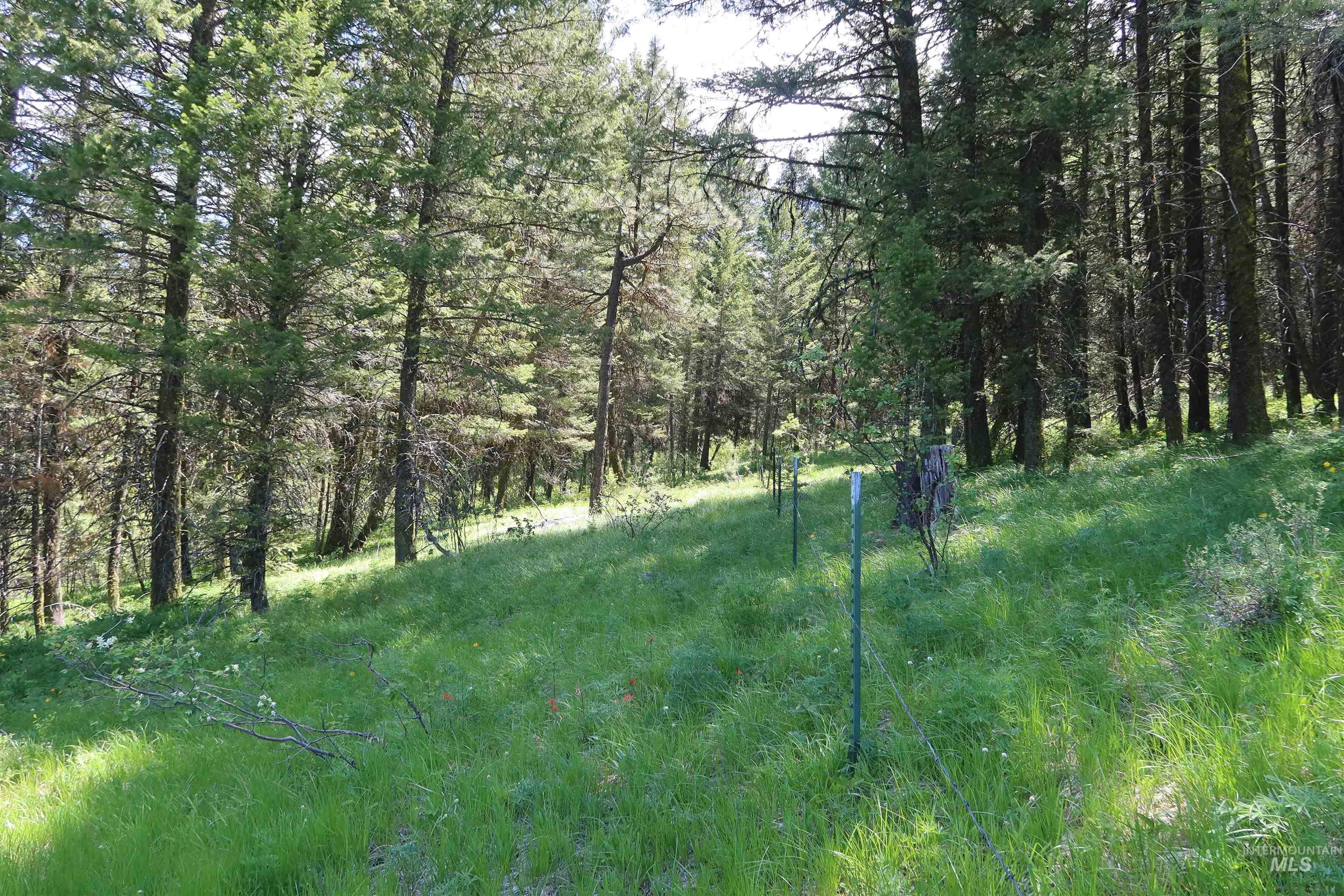 TBD Council Cuprum Rd, Council, Idaho 83612, Land For Sale, Price $399,000,MLS 98912914