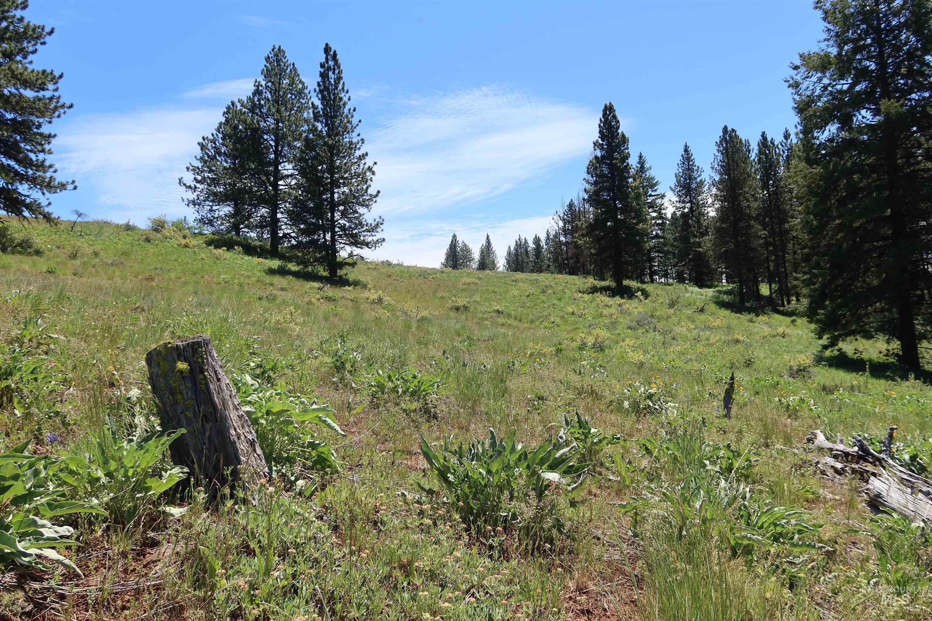 TBD Council Cuprum Rd, Council, Idaho 83612, Land For Sale, Price $399,000,MLS 98912914