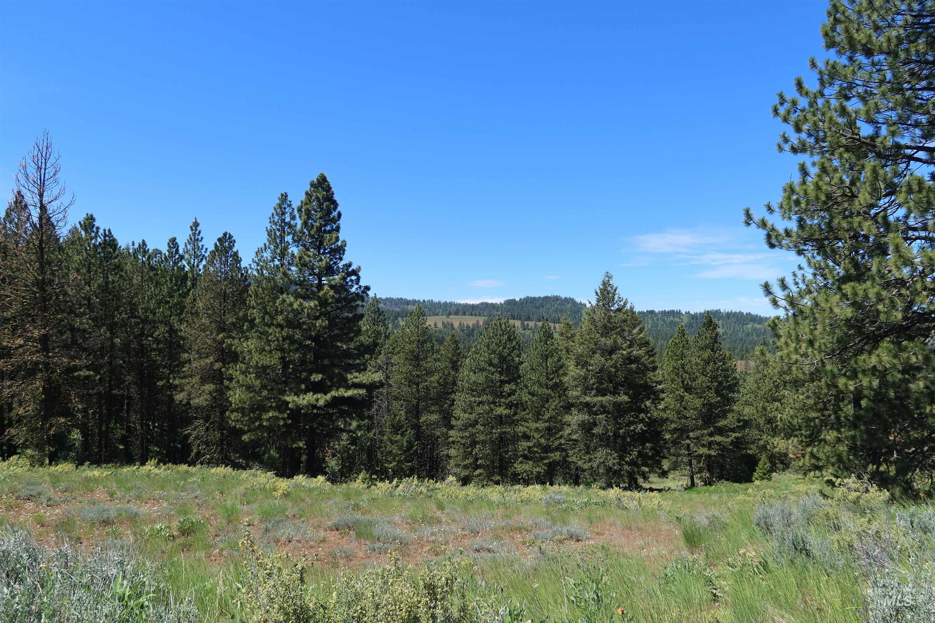 TBD Council Cuprum Rd, Council, Idaho 83612, Land For Sale, Price $399,000,MLS 98912914