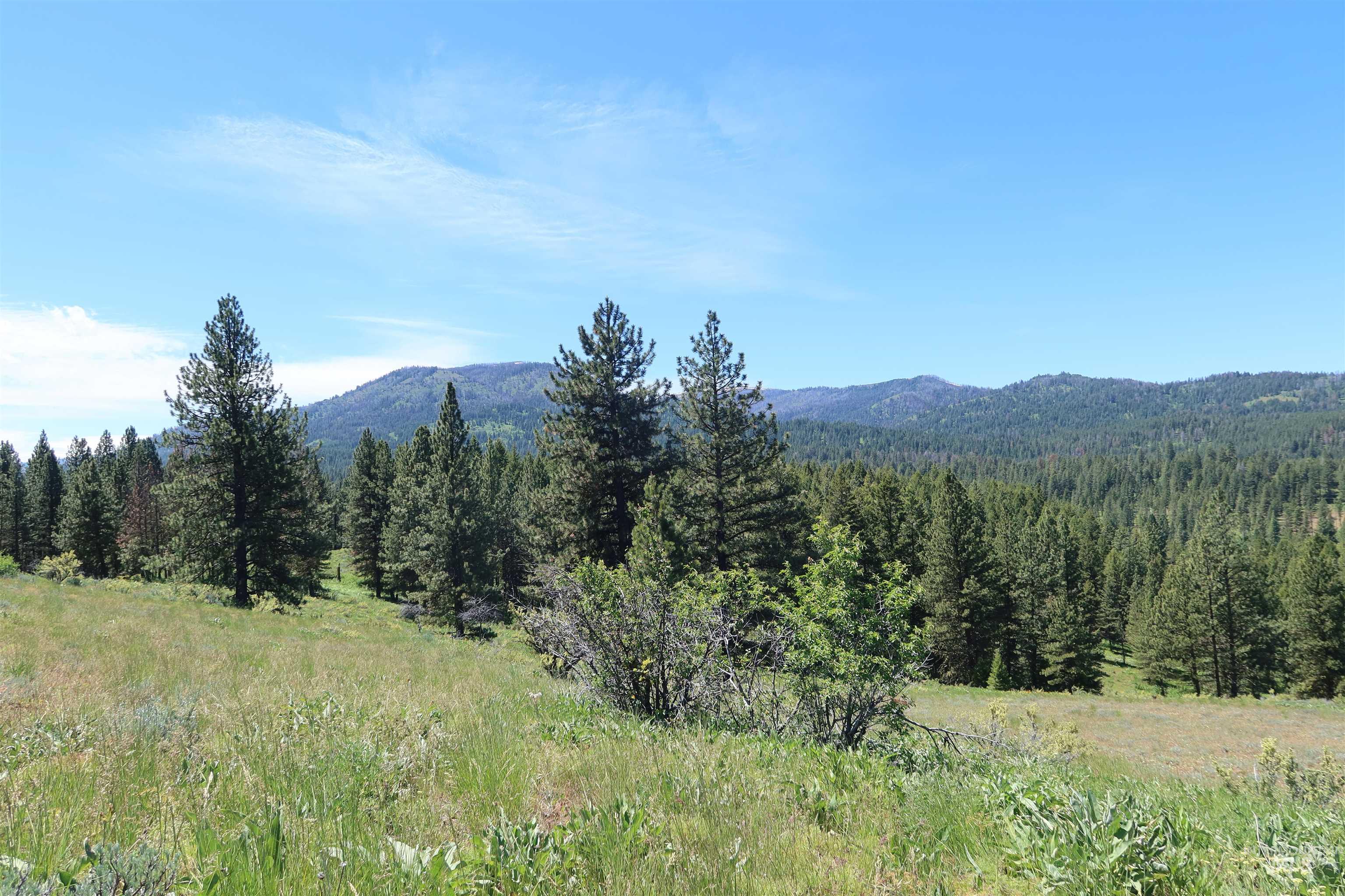 TBD Council Cuprum Rd, Council, Idaho 83612, Land For Sale, Price $399,000,MLS 98912914