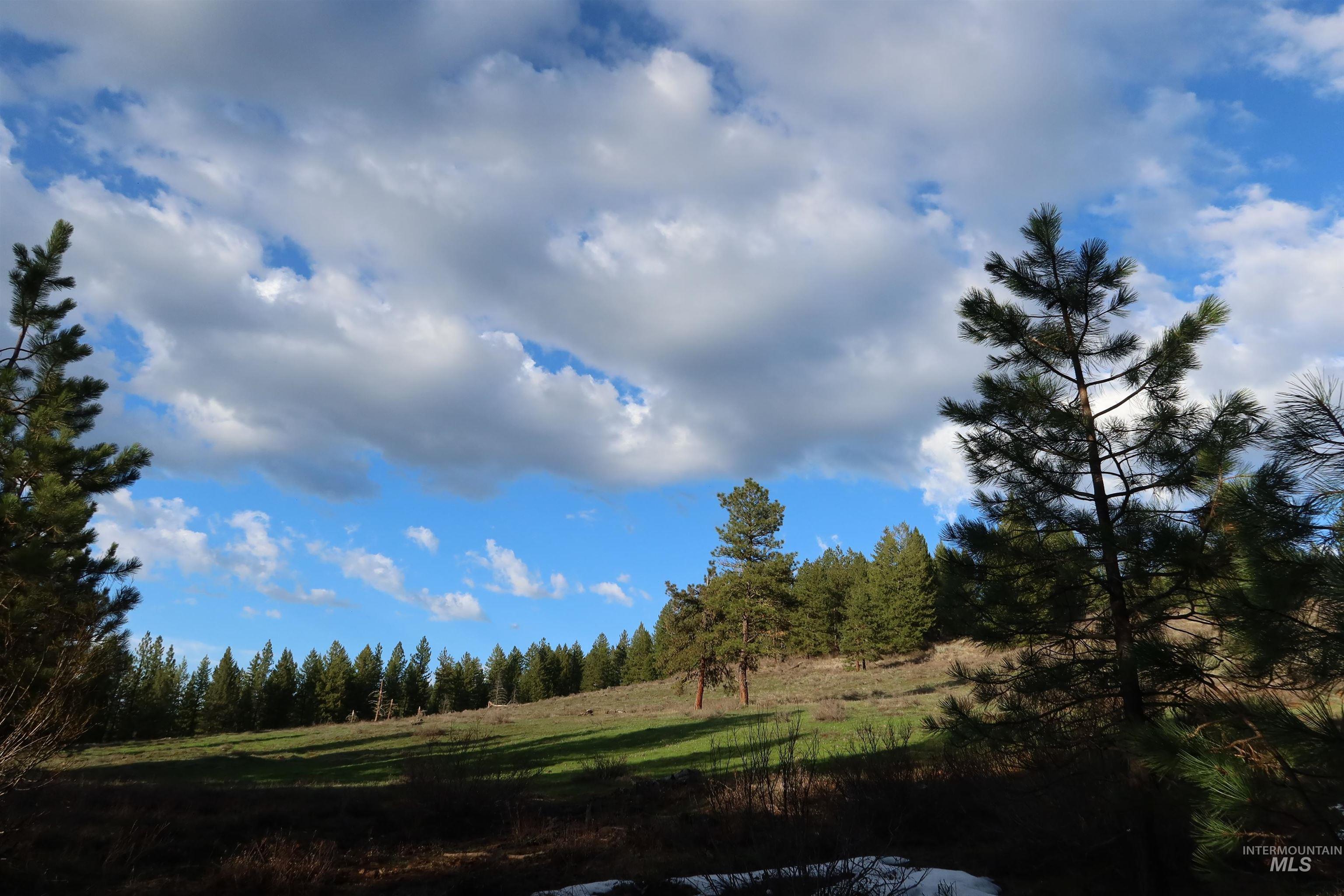 TBD Council Cuprum Rd, Council, Idaho 83612, Land For Sale, Price $399,000,MLS 98912914