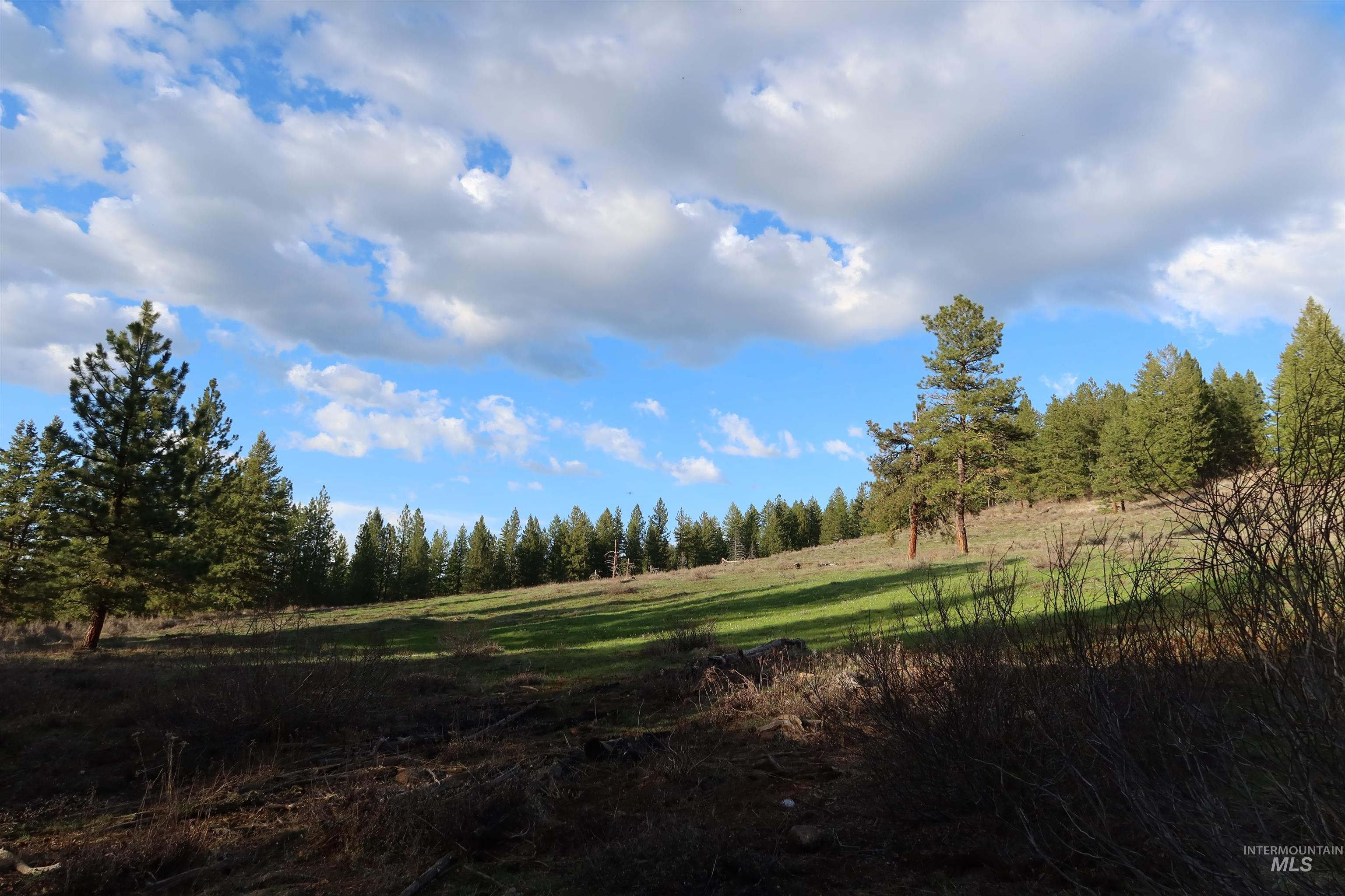 TBD Council Cuprum Rd, Council, Idaho 83612, Land For Sale, Price $399,000,MLS 98912914