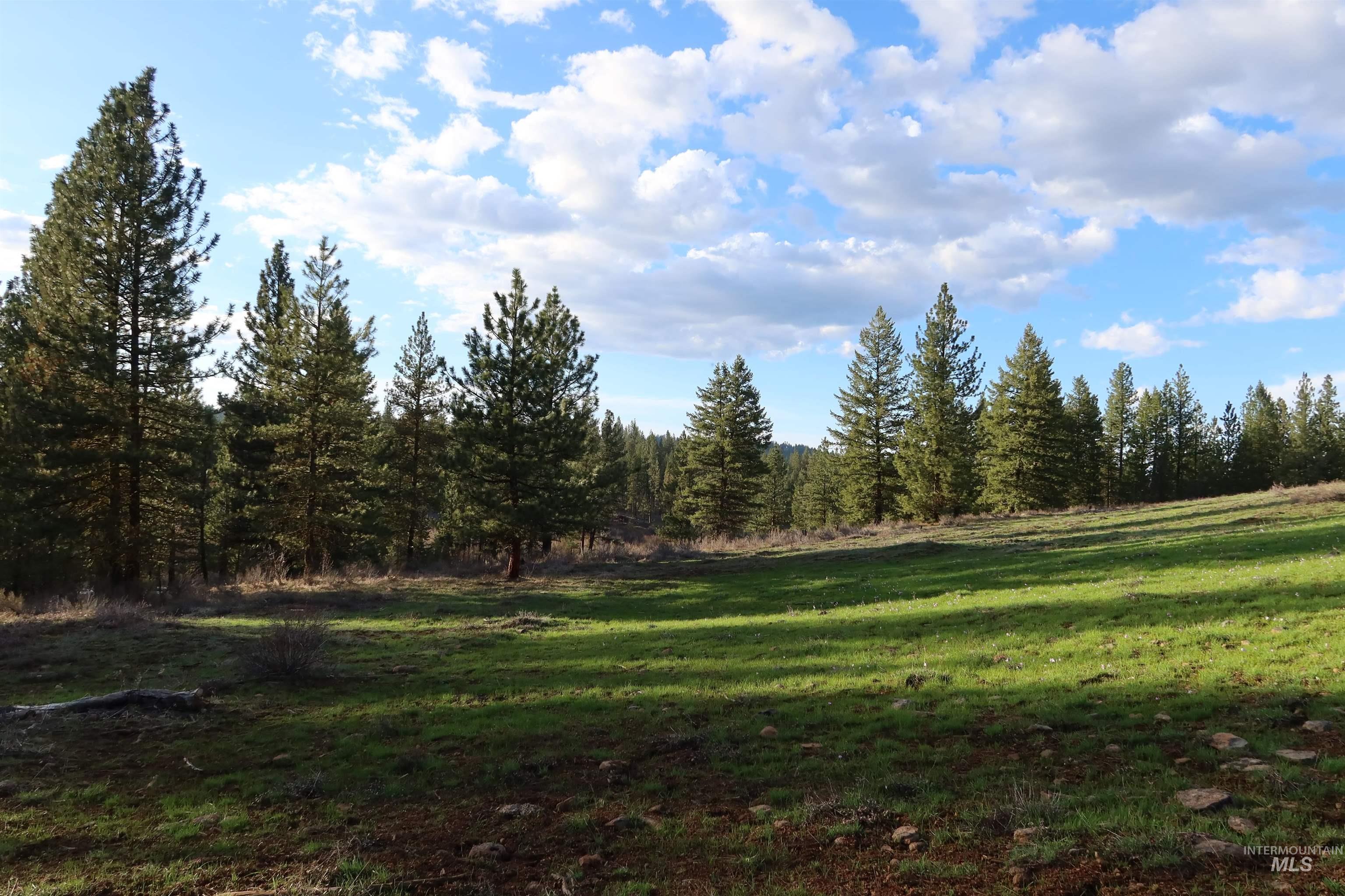 TBD Council Cuprum Rd, Council, Idaho 83612, Land For Sale, Price $399,000,MLS 98912914
