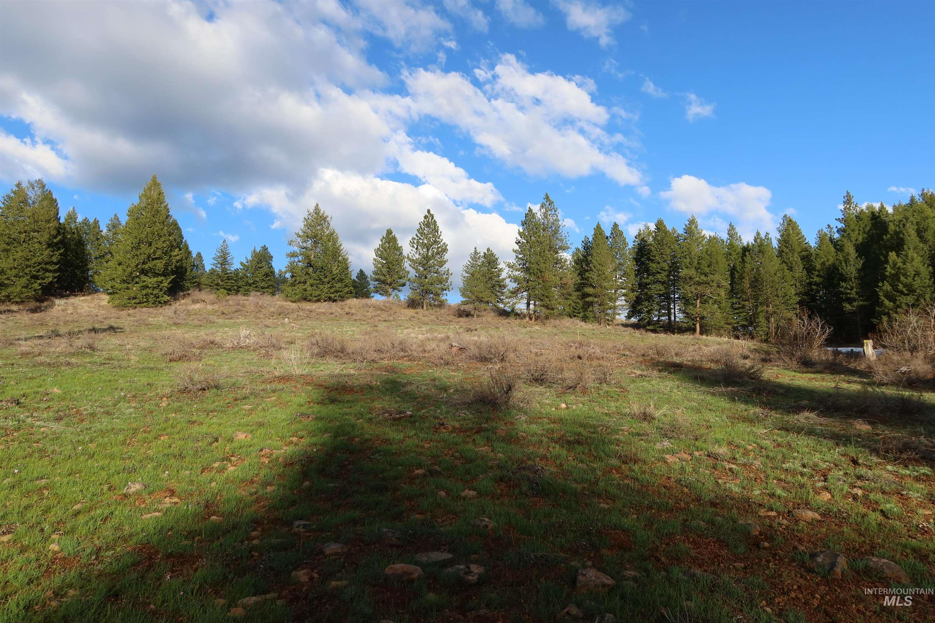 TBD Council Cuprum Rd, Council, Idaho 83612, Land For Sale, Price $399,000,MLS 98912914