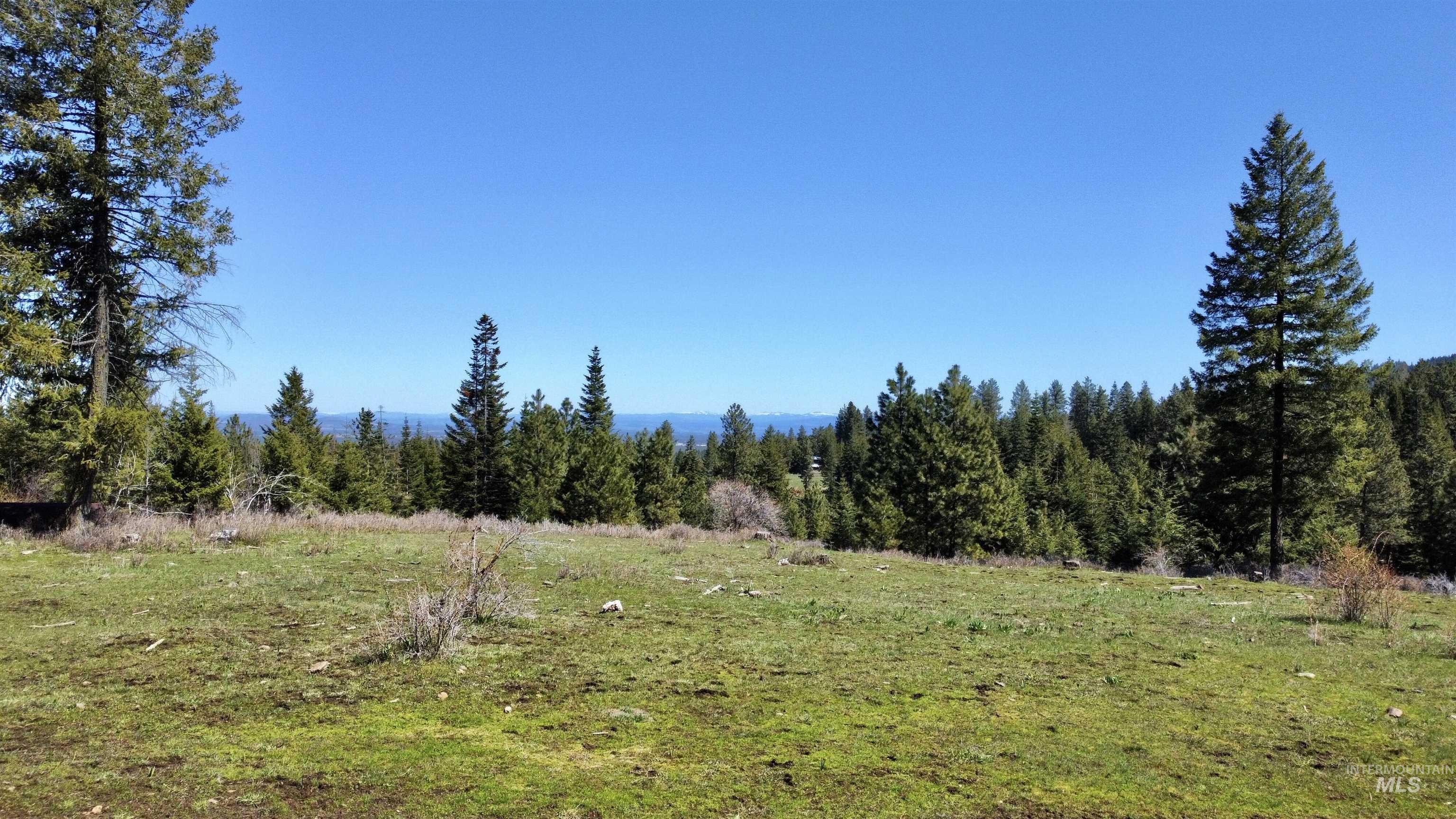 TBD 2138 P 4 old White Bird Hill RD, Grangeville, Idaho 83530, Land For Sale, Price $325,000, 98913037