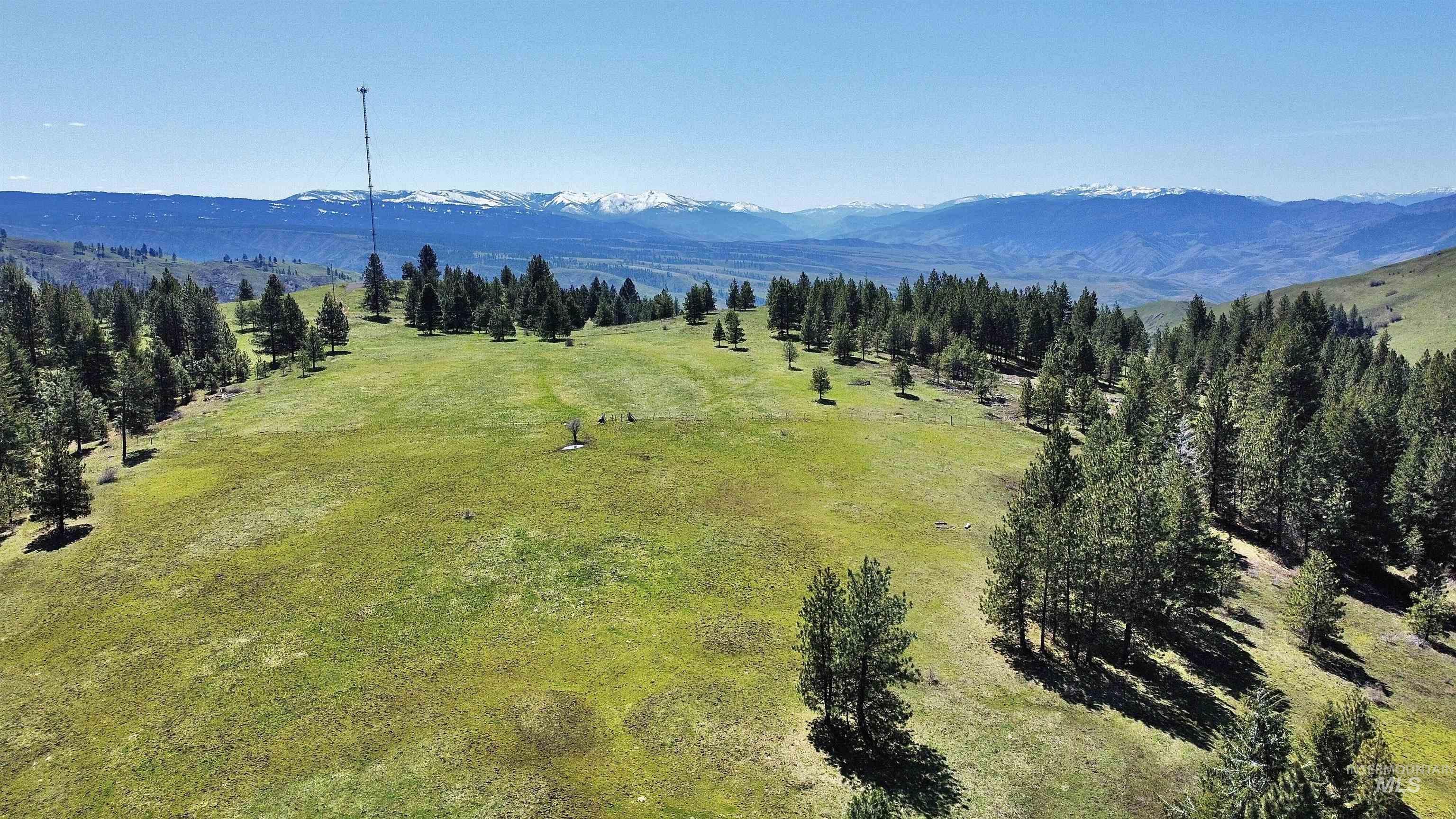 TBD 2138 P 3 Old White Bird Hill Rd, Grangeville, Idaho 83530, Land For Sale, Price $325,000, 98913040