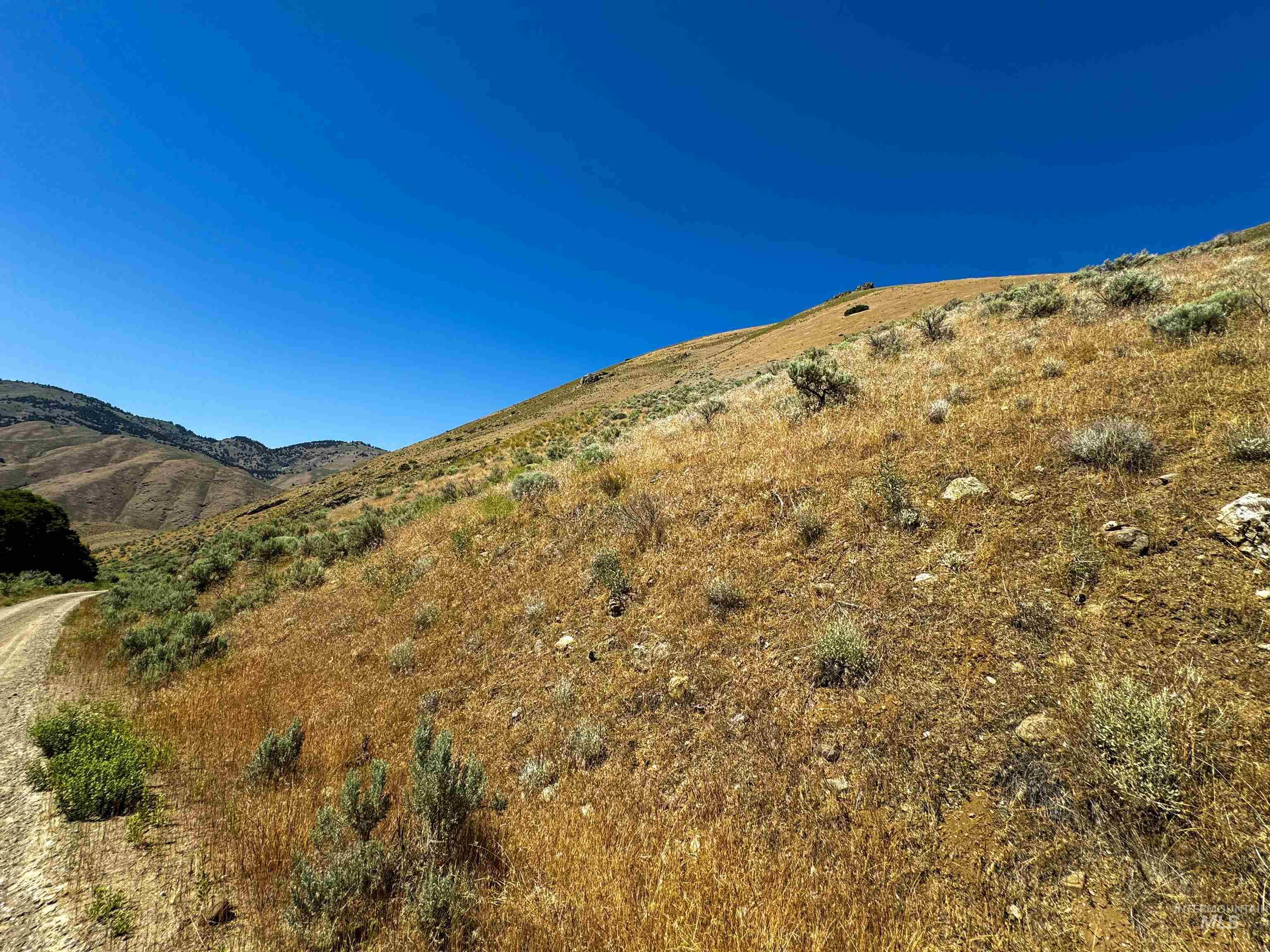 Lot 1, Parcel 1 Dennett Creek Rd, Weiser, Idaho 83672, Land For Sale, Price $65,000,MLS 98914679