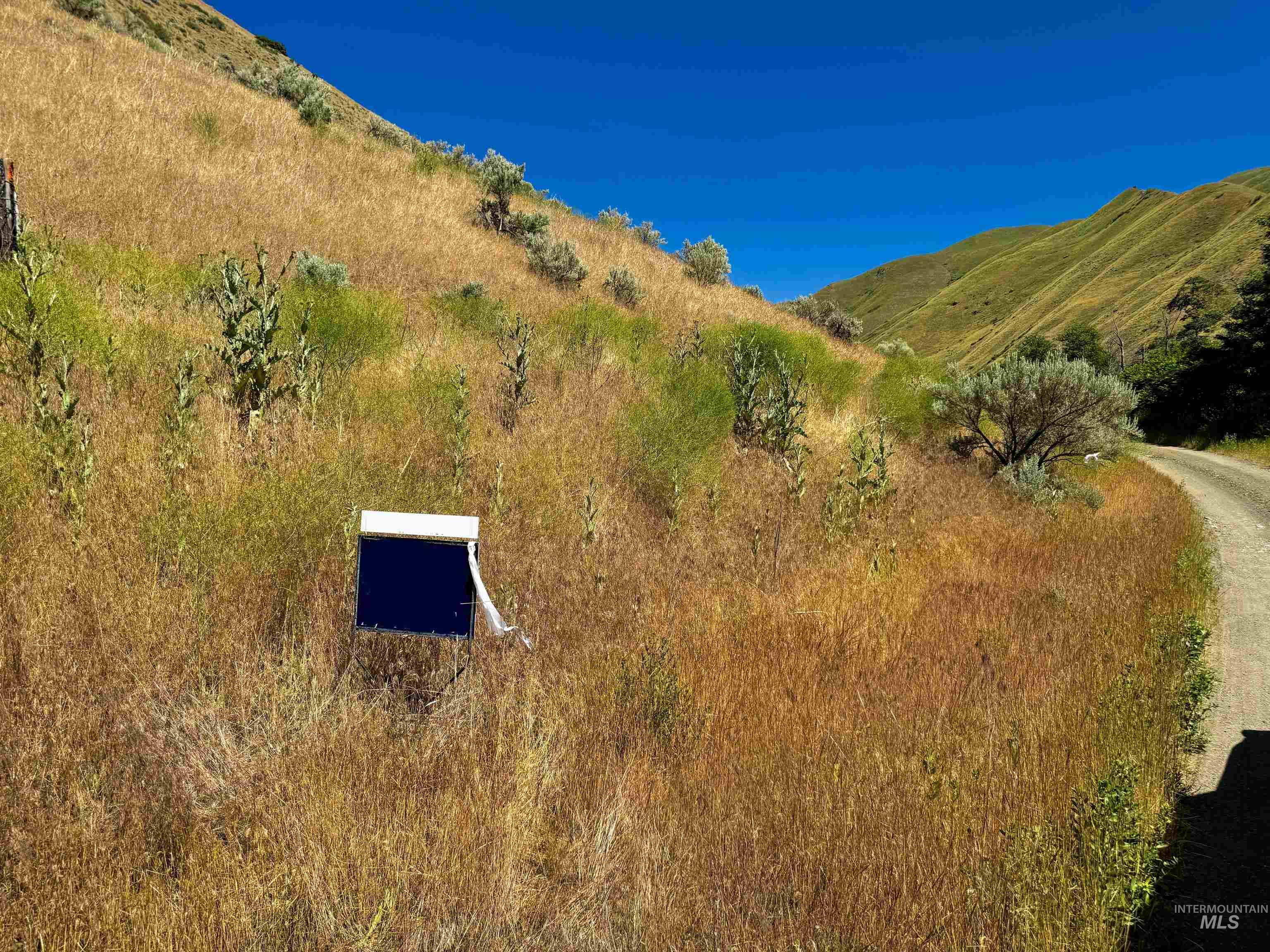 Lot 2, Parcel 1 Dennett Creek Rd, Weiser, Idaho 83672, Land For Sale, Price $75,000,MLS 98914682