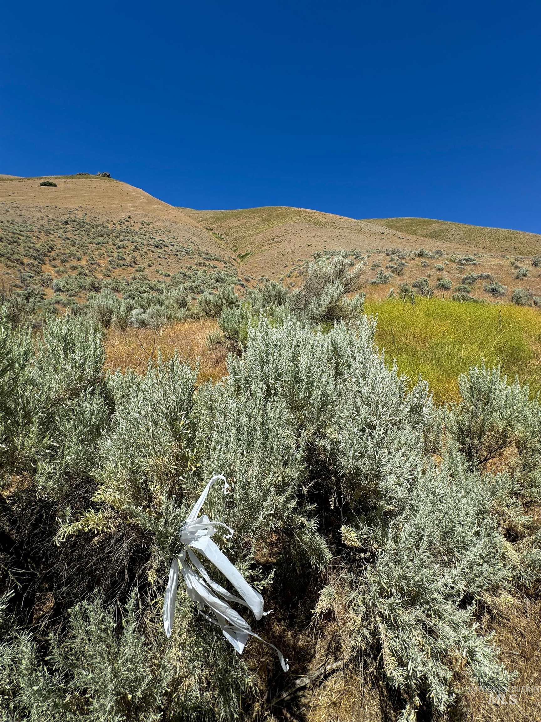 Lot 2, Parcel 1 Dennett Creek Rd, Weiser, Idaho 83672, Land For Sale, Price $75,000,MLS 98914682