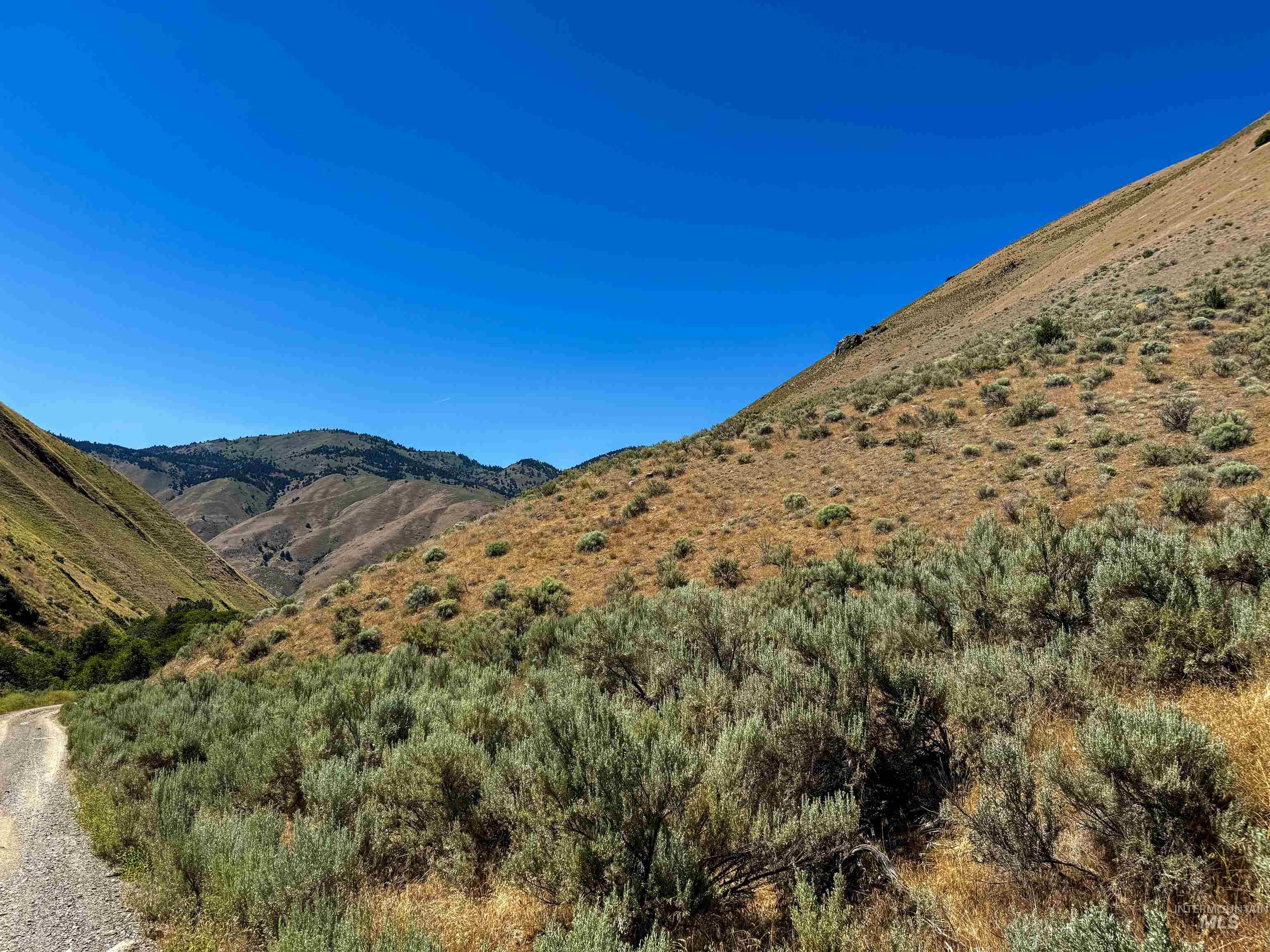 Lot 2, Parcel 1 Dennett Creek Rd, Weiser, Idaho 83672, Land For Sale, Price $75,000,MLS 98914682