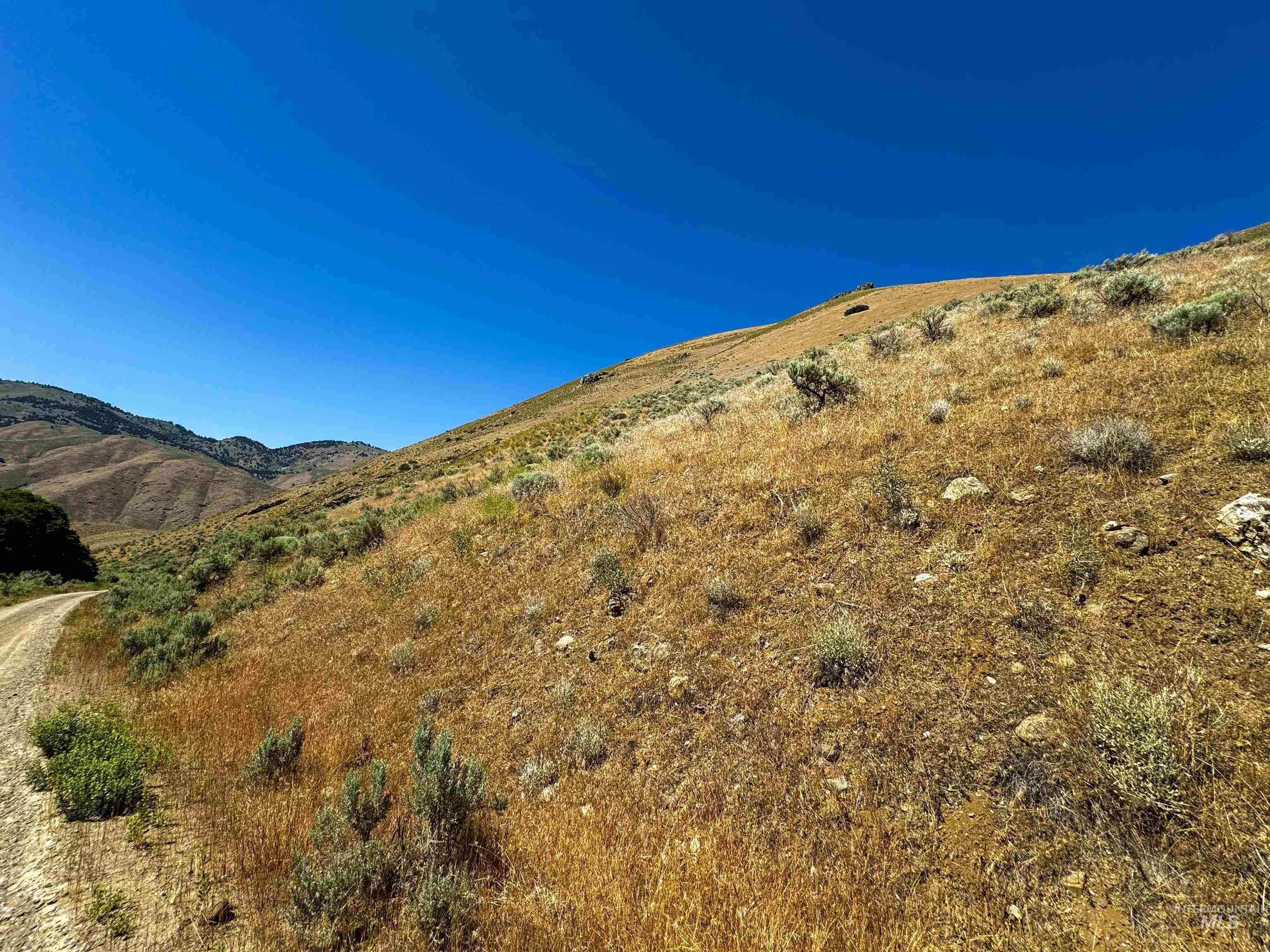 Lot 2, Parcel 1 Dennett Creek Rd, Weiser, Idaho 83672, Land For Sale, Price $75,000,MLS 98914682