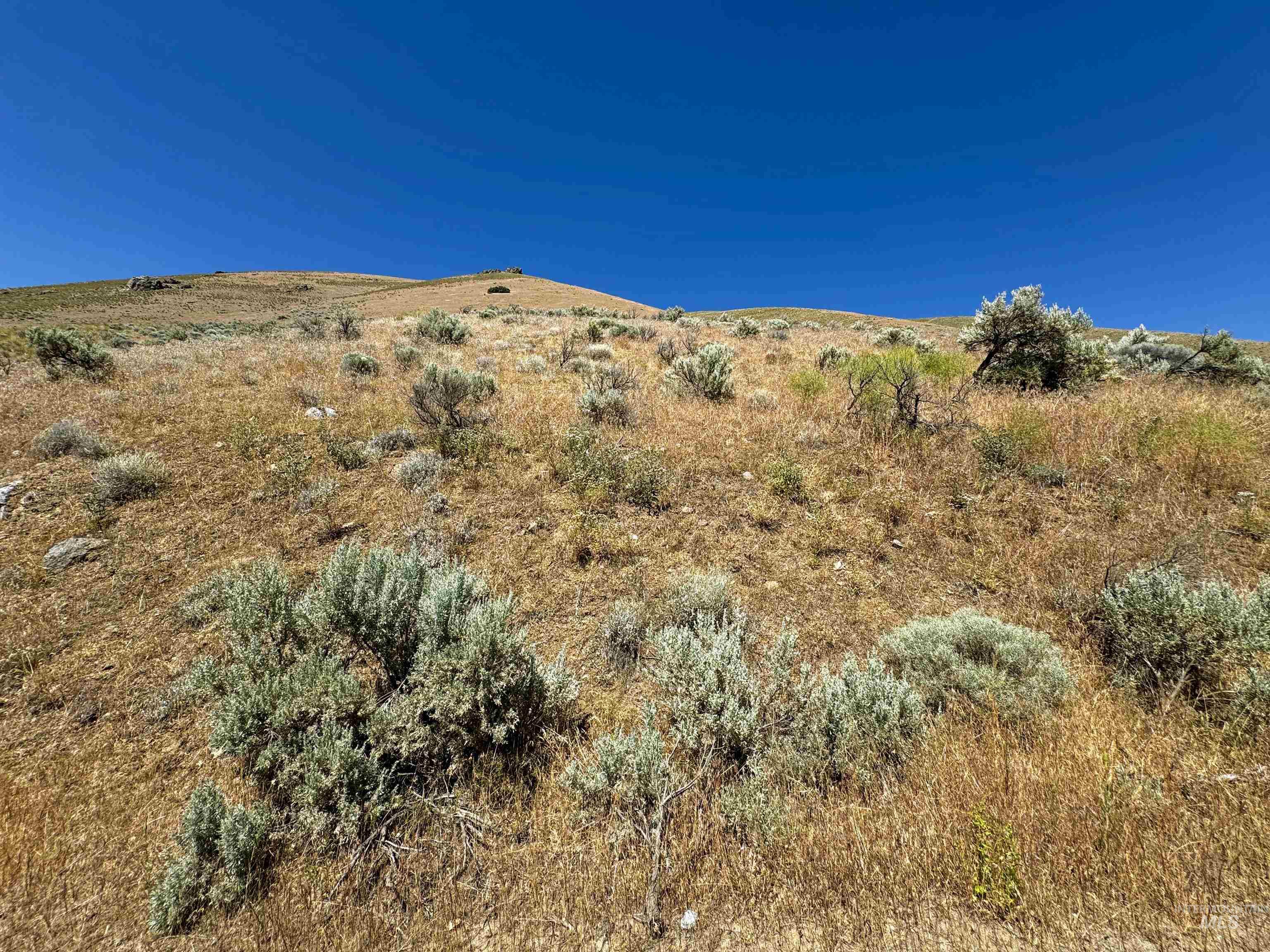 Lot 2, Parcel 1 Dennett Creek Rd, Weiser, Idaho 83672, Land For Sale, Price $75,000,MLS 98914682