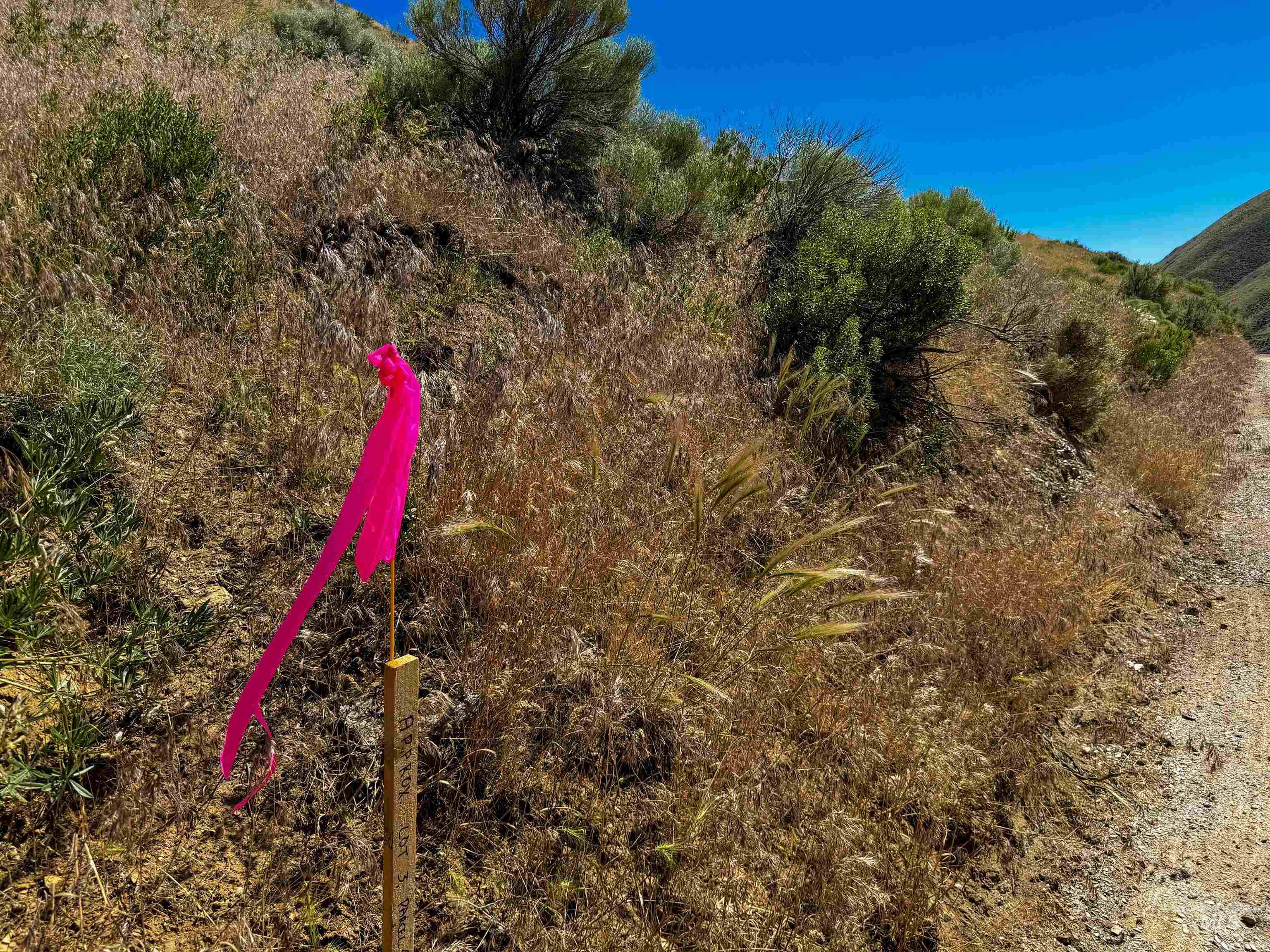 Lot 3, Parcel 1 Rock Creek Rd, Weiser, Idaho 83672, Land For Sale, Price $110,000,MLS 98914710