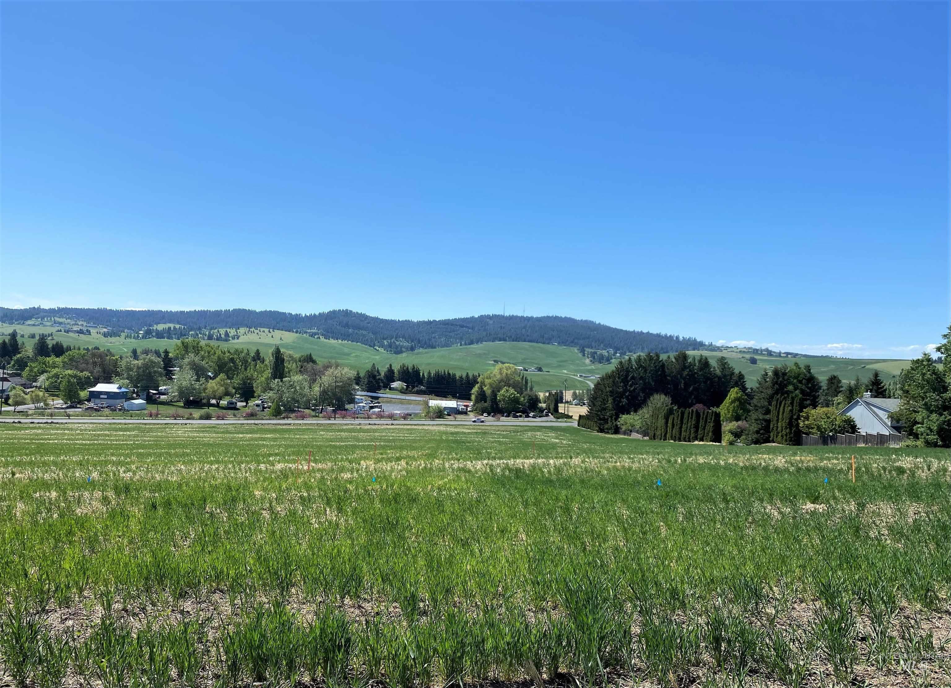 2830 Cyprus Court, Moscow, Idaho 83843, Land For Sale, Price $125,000,MLS 98914798