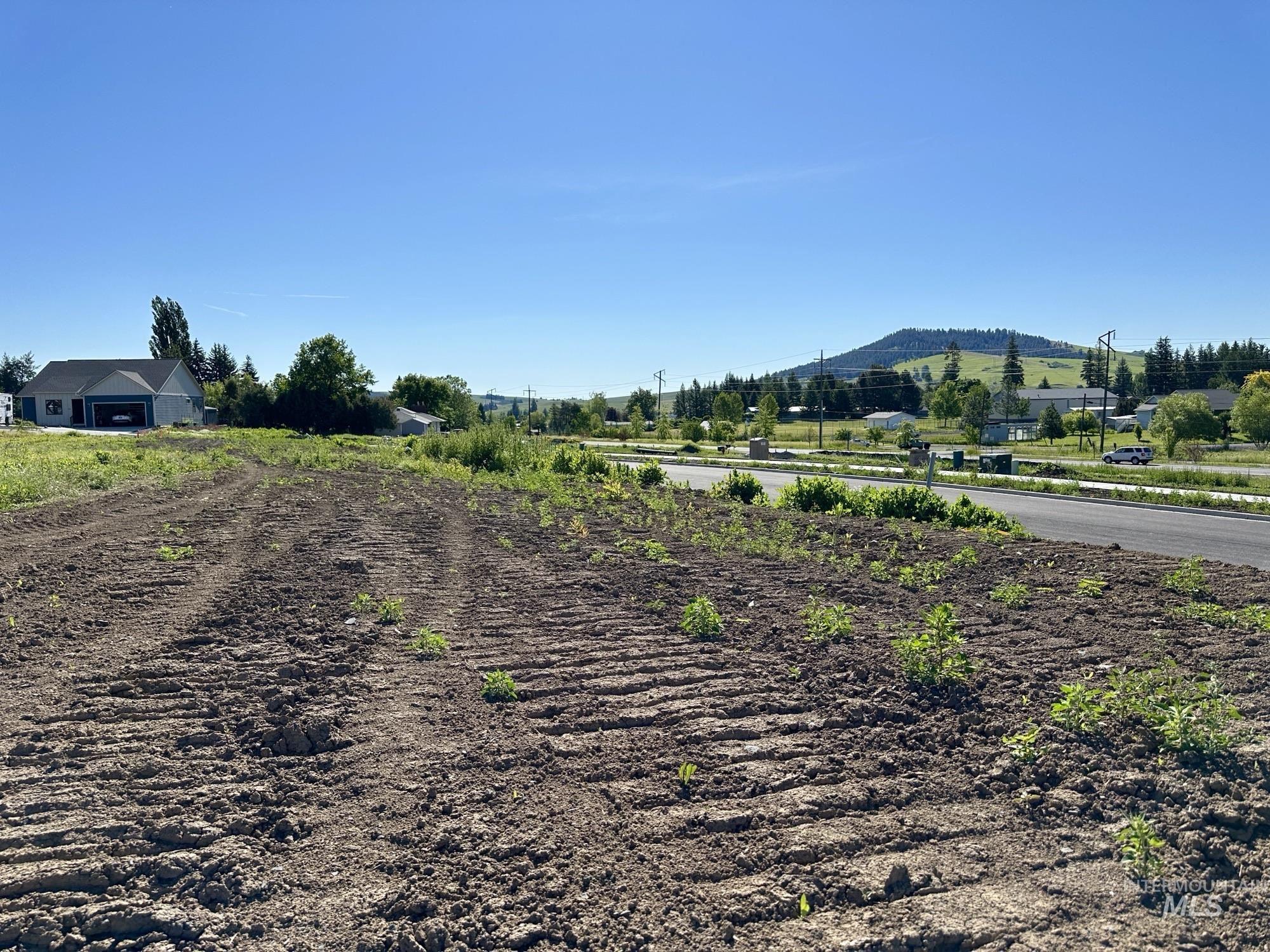 2806 Cyprus Court, Moscow, Idaho 83843, Land For Sale, Price $125,000,MLS 98914810