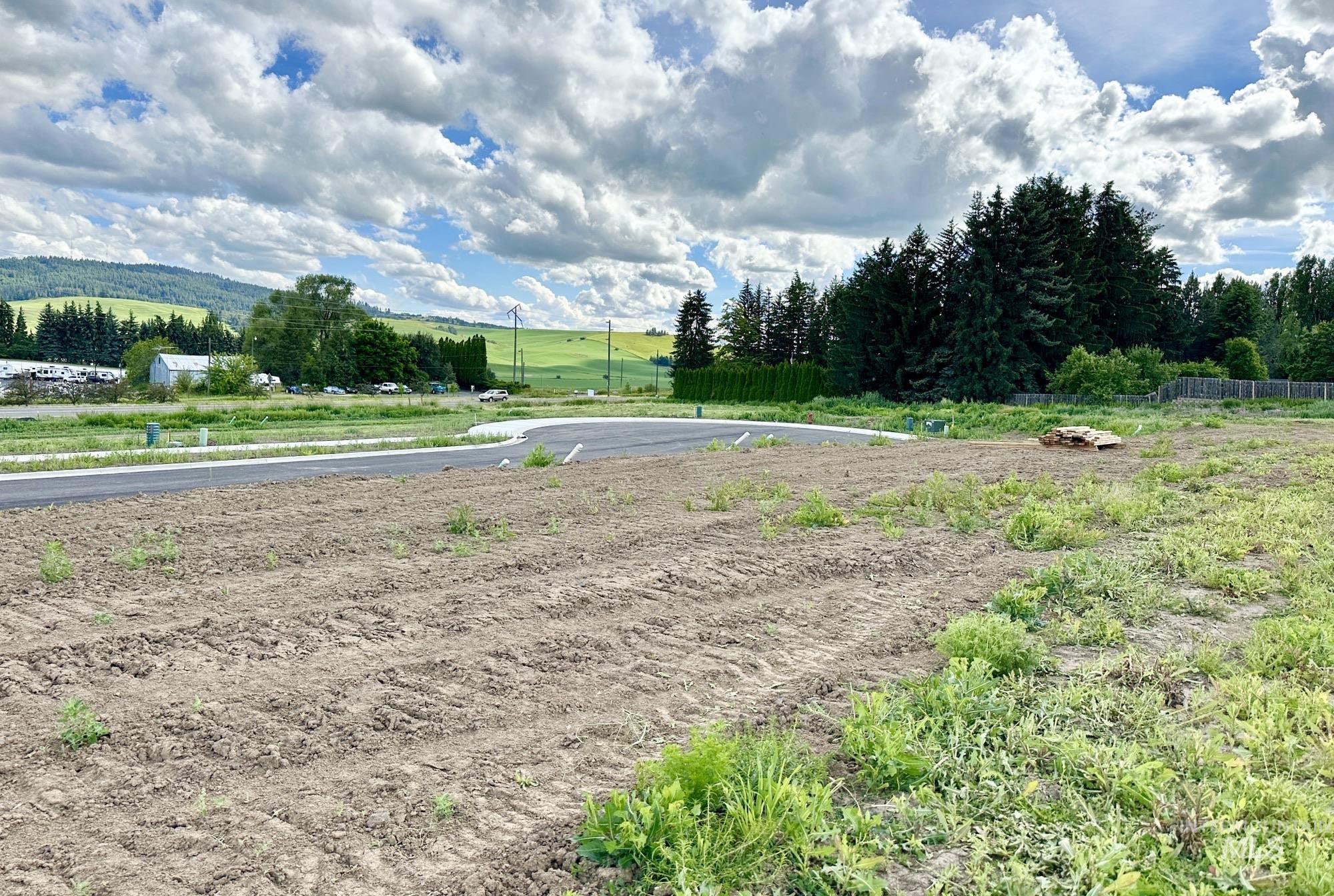 2812 Cyprus Court, Moscow, Idaho 83843, Land For Sale, Price $125,000,MLS 98914811