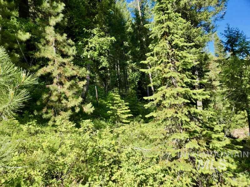 TBD Atlanta Cir, Atlanta, Idaho 83716, Land For Sale, Price $50,000,MLS 98914943
