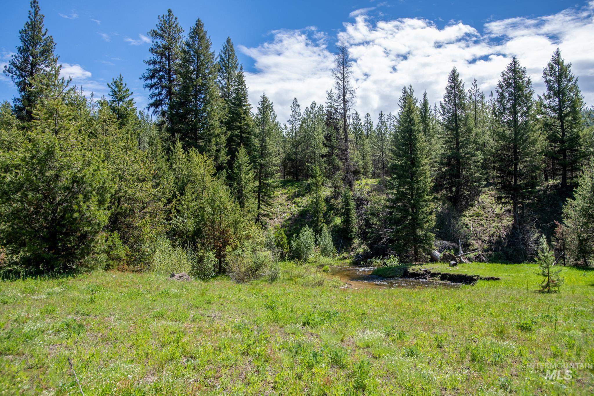 TBD 36 Clear Creek Road, Cascade, Idaho 83611, Land For Sale, Price $422,875,MLS 98915041