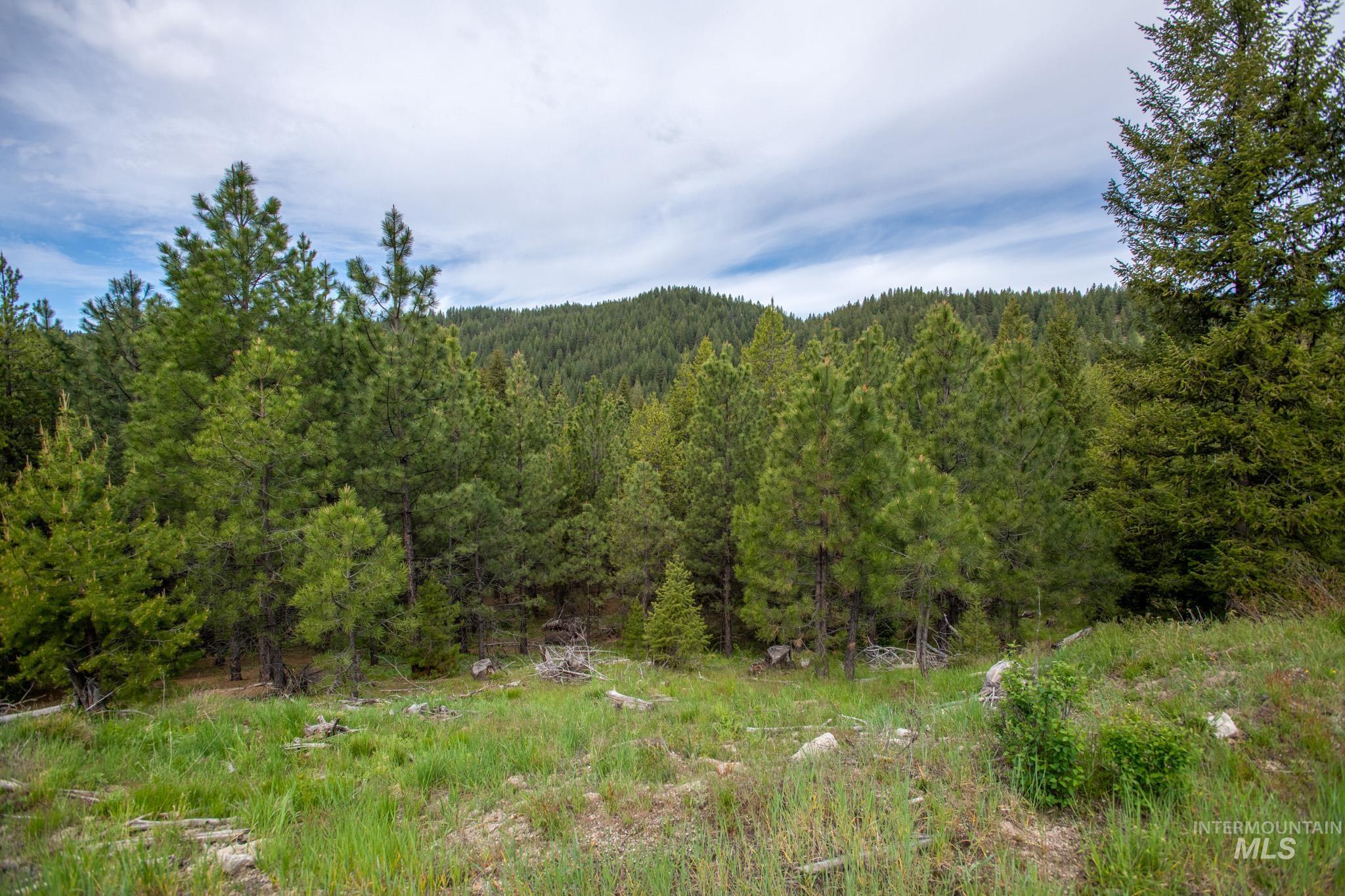 TBD 36 Clear Creek Road, Cascade, Idaho 83611, Land For Sale, Price $422,875,MLS 98915041