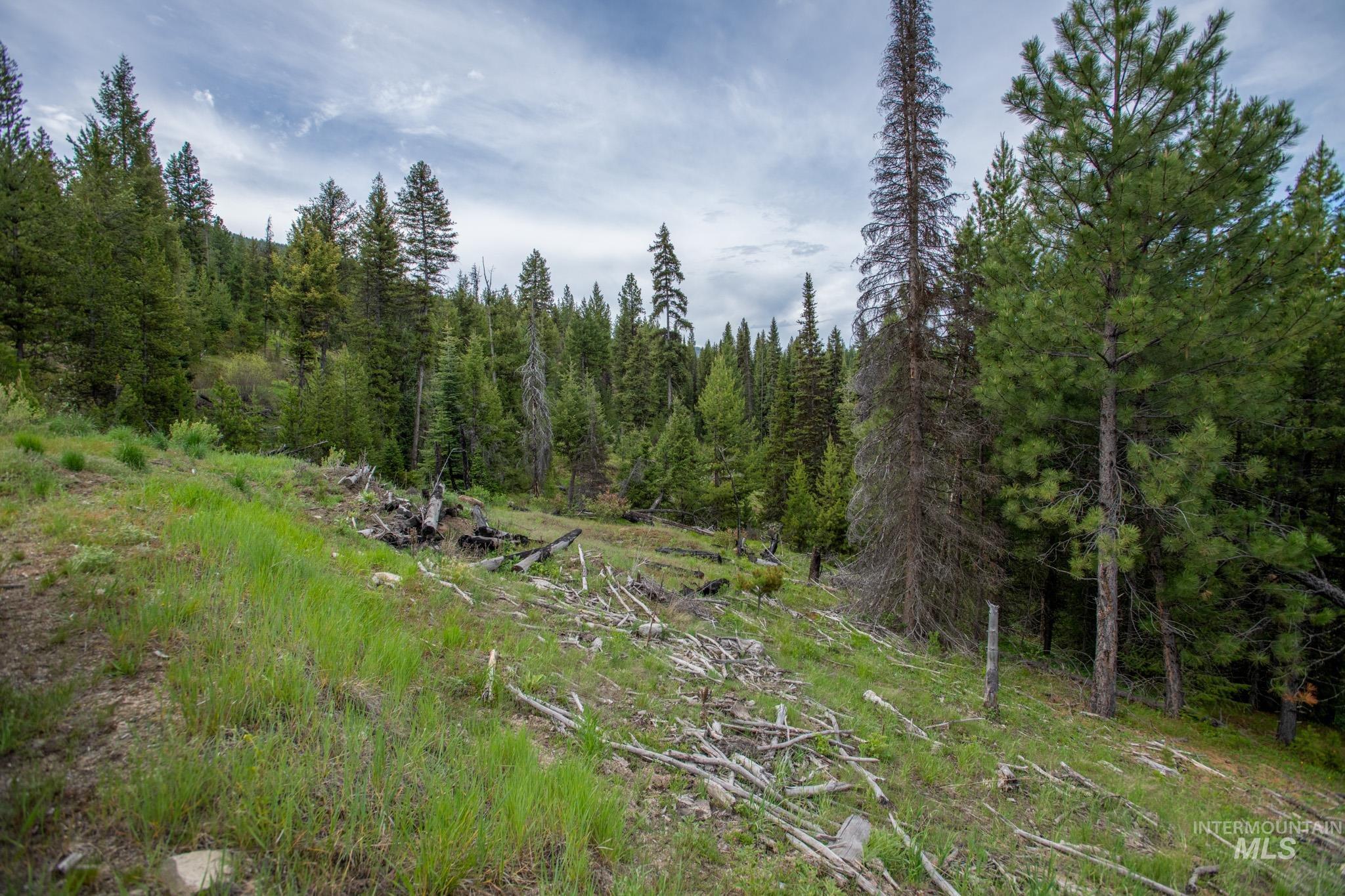 TBD 36 Clear Creek Road, Cascade, Idaho 83611, Land For Sale, Price $422,875,MLS 98915041