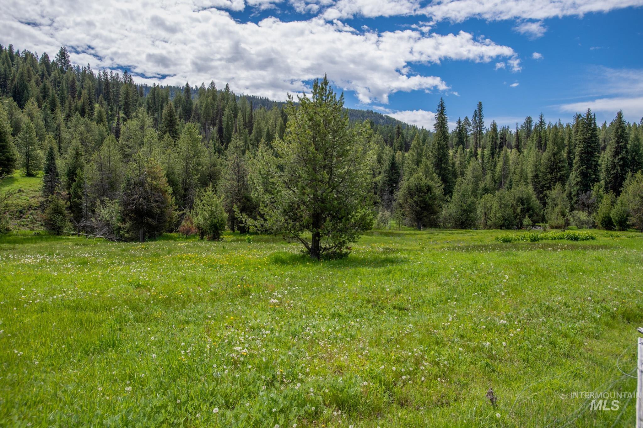 TBD 39 Clear Creek Road, Cascade, Idaho 83611, Land For Sale, Price $320,875,MLS 98915098