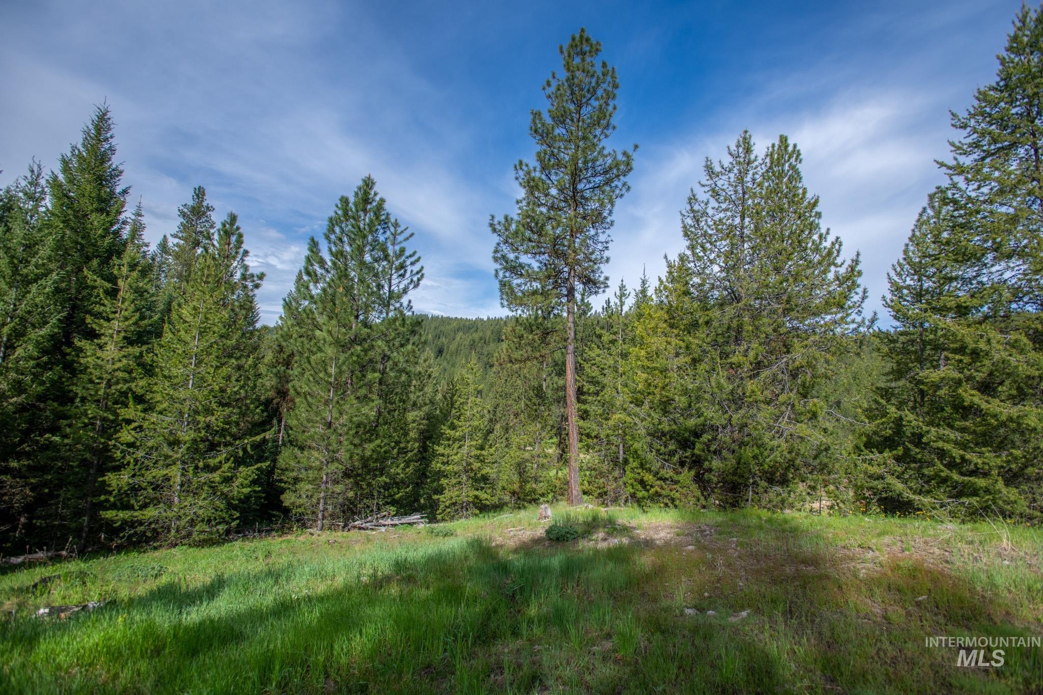 TBD 41 Clear Creek Road, Cascade, Idaho 83611, Land For Sale, Price $405,875,MLS 98915150