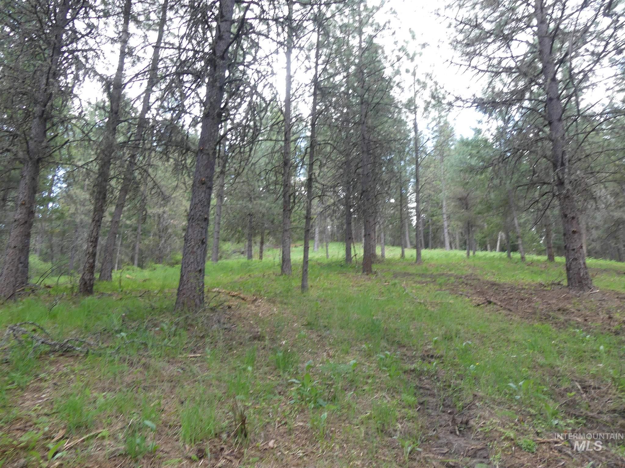 22743 Old Melrose Grade, Peck, Idaho 83545, Land For Sale, Price $200,000,MLS 98915395