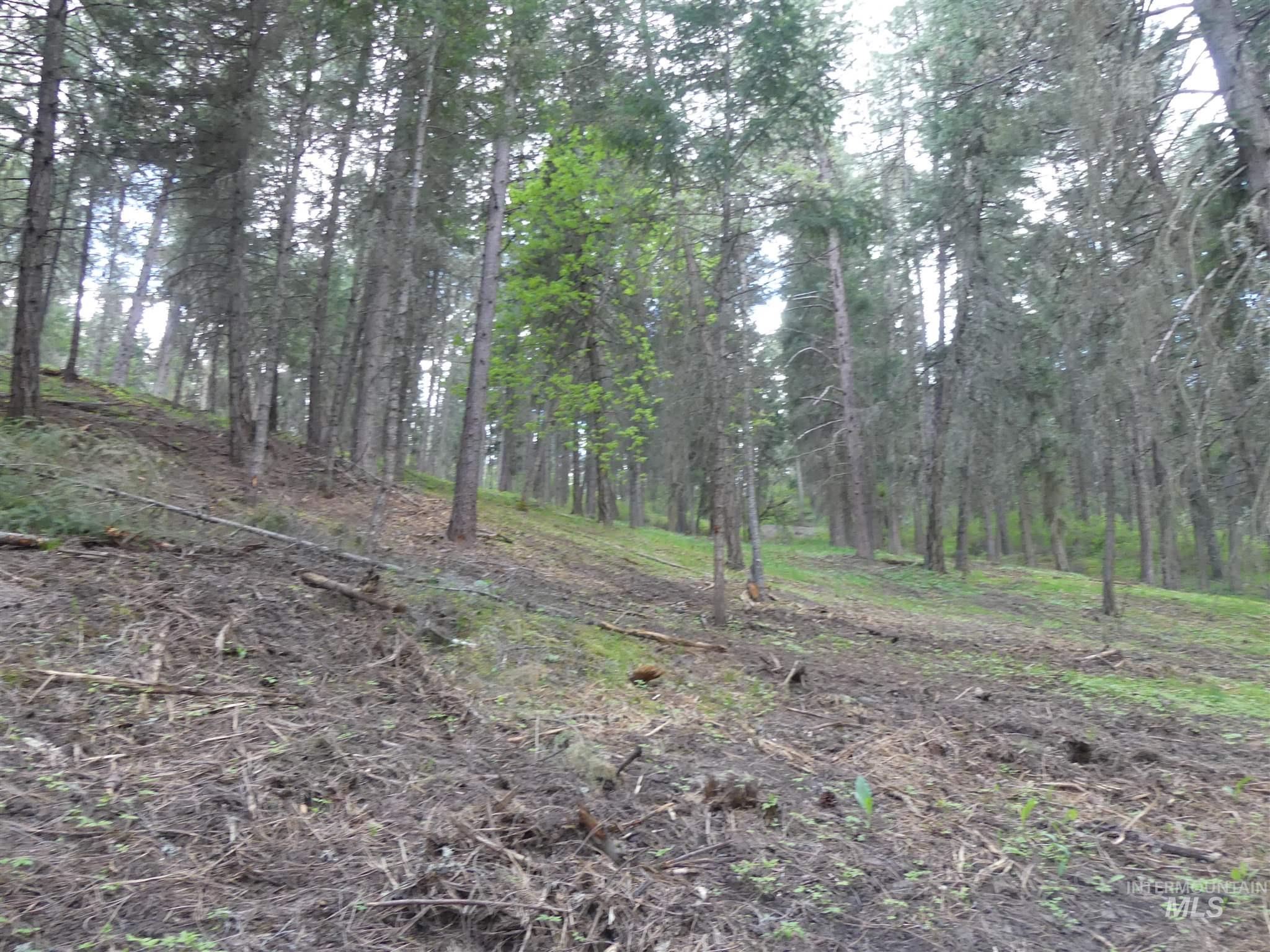 22743 Old Melrose Grade, Peck, Idaho 83545, Land For Sale, Price $200,000,MLS 98915395