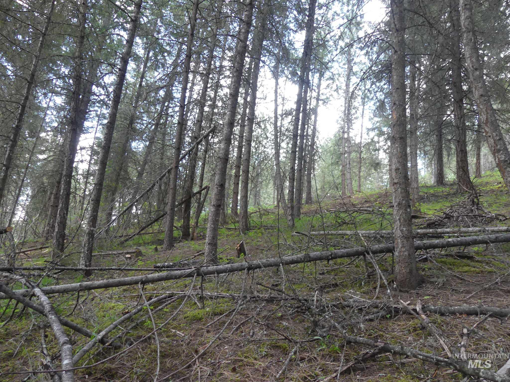 22743 Old Melrose Grade, Peck, Idaho 83545, Land For Sale, Price $200,000,MLS 98915395