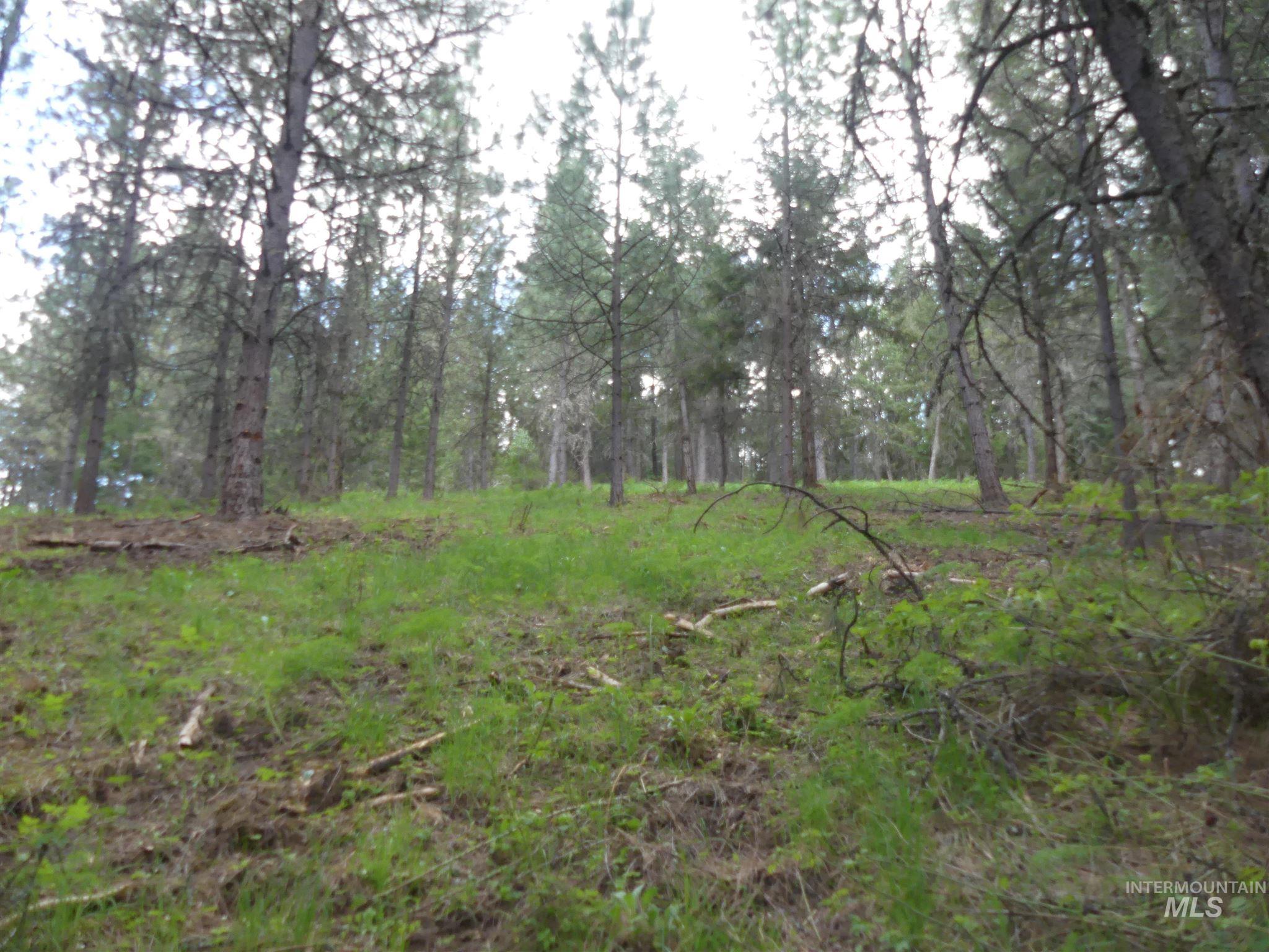 22743 Old Melrose Grade, Peck, Idaho 83545, Land For Sale, Price $200,000,MLS 98915395