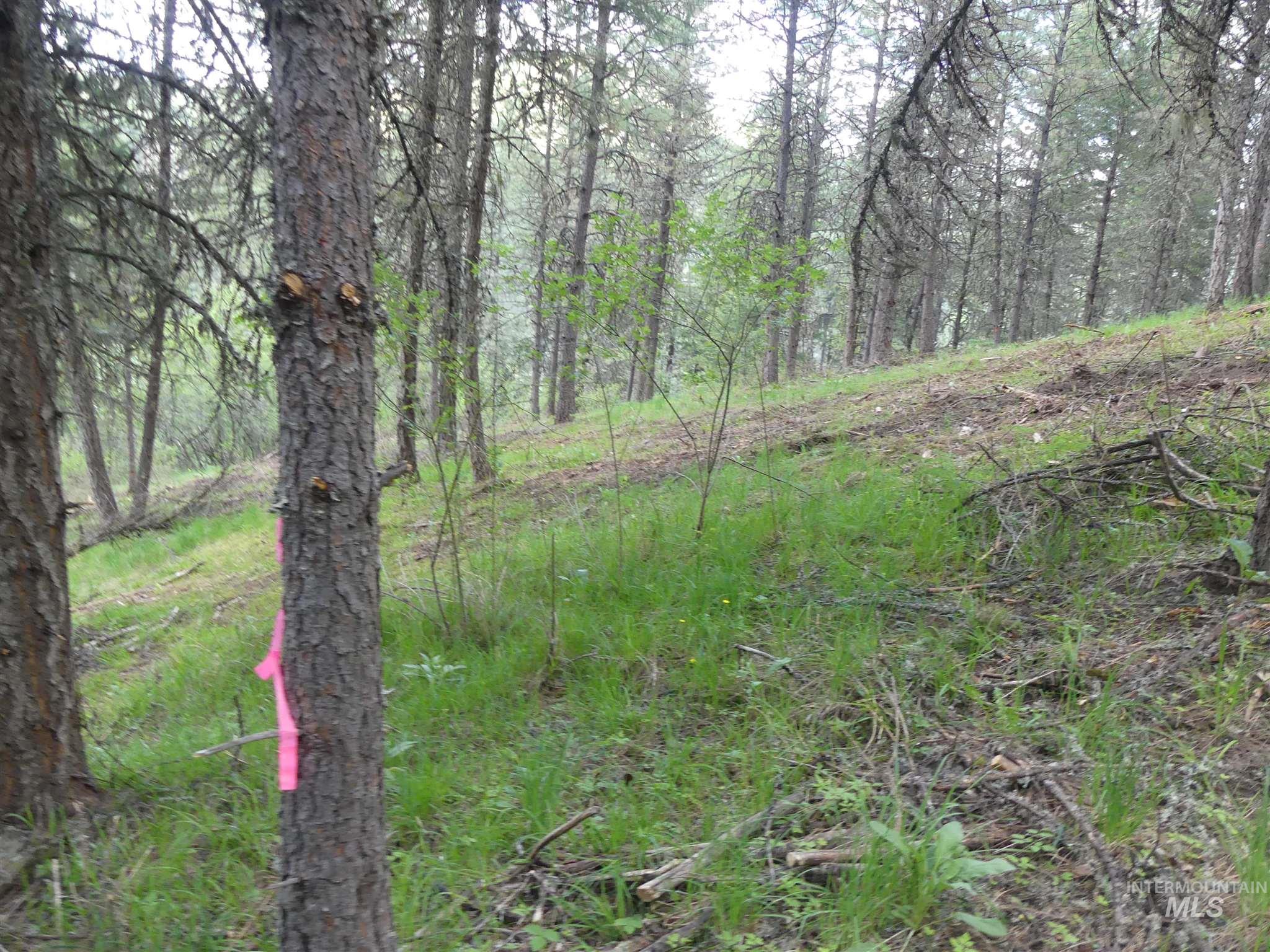 22743 Old Melrose Grade, Peck, Idaho 83545, Land For Sale, Price $200,000,MLS 98915395