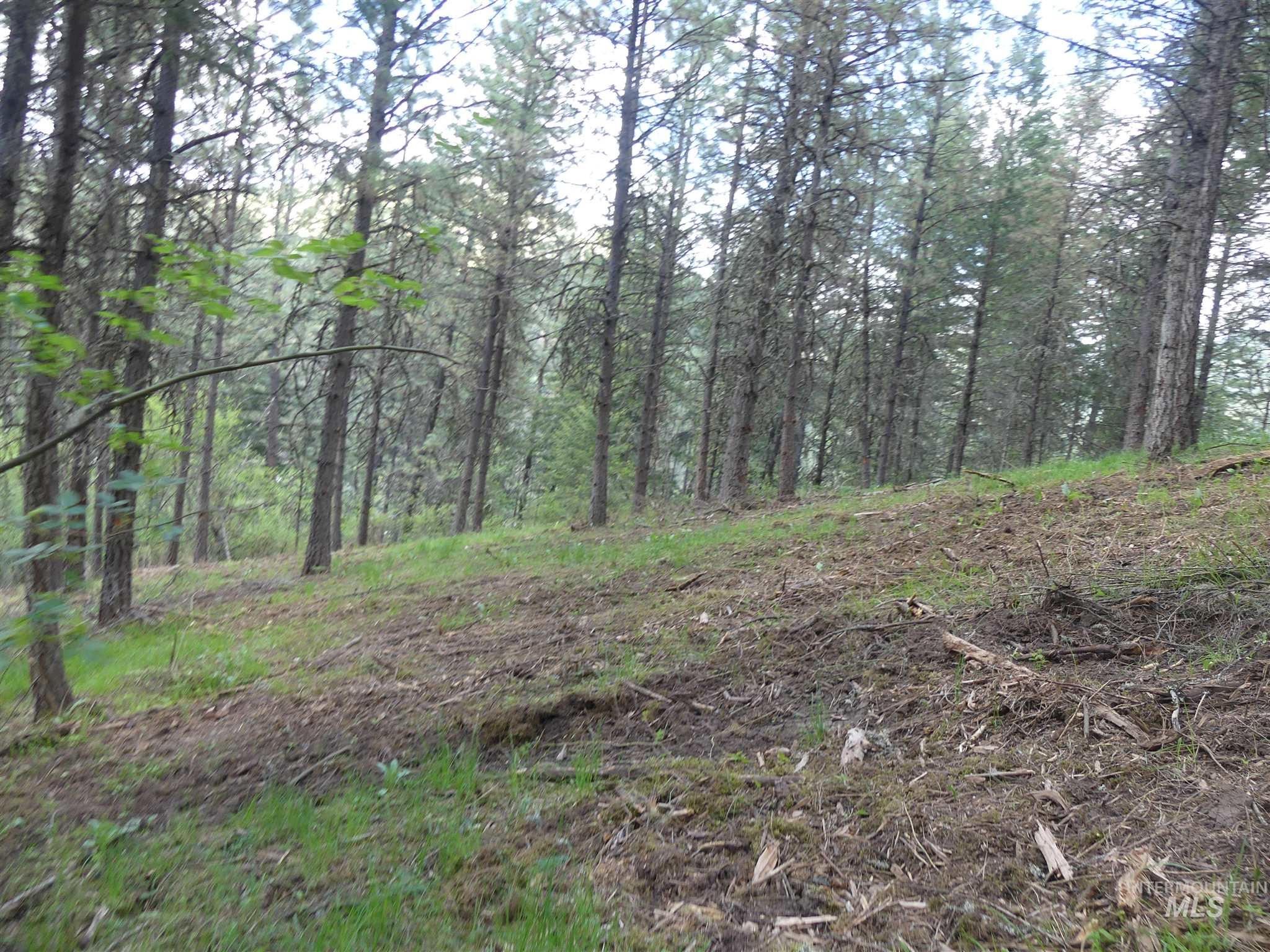 22743 Old Melrose Grade, Peck, Idaho 83545, Land For Sale, Price $200,000,MLS 98915395