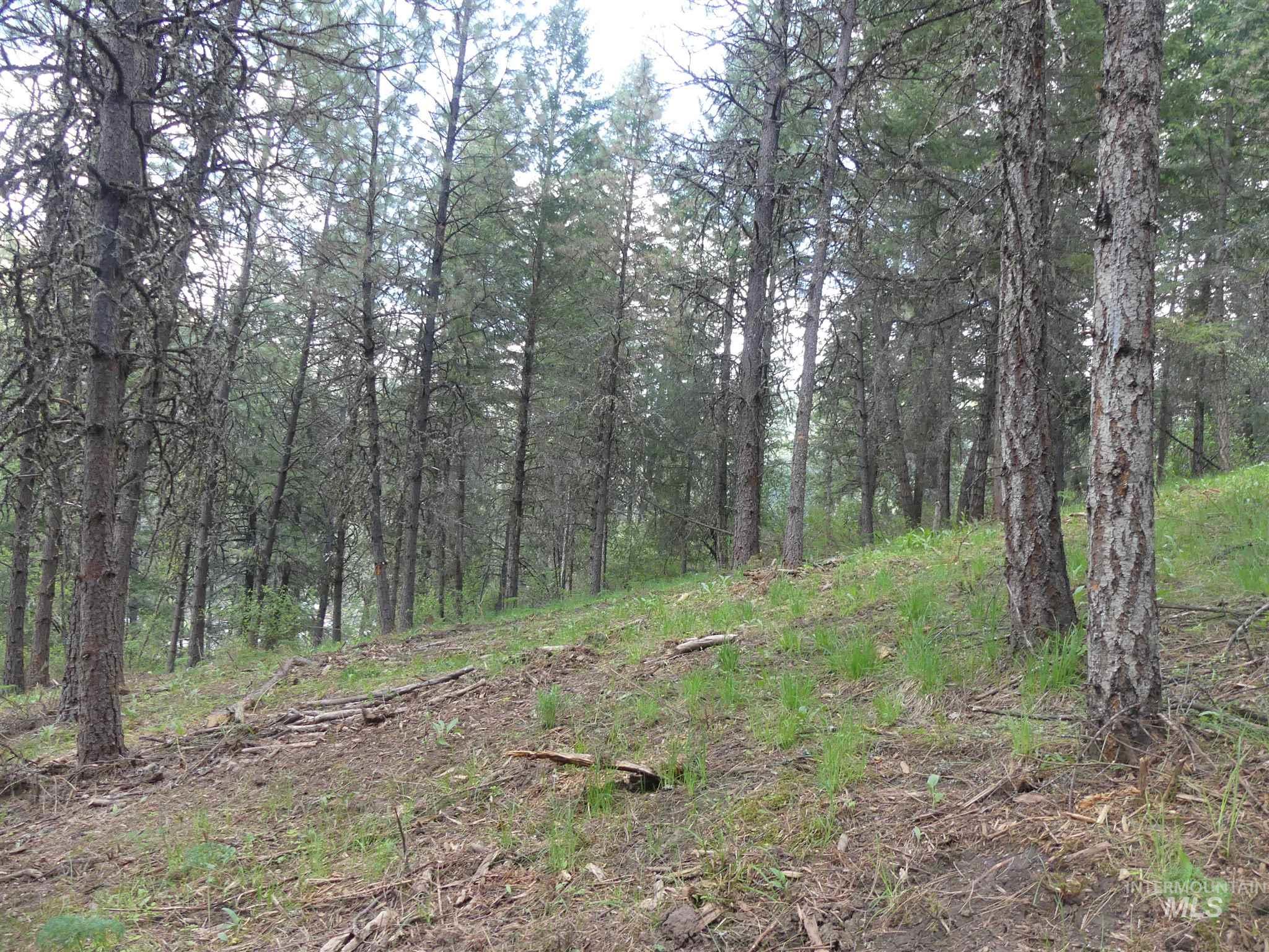 22743 Old Melrose Grade, Peck, Idaho 83545, Land For Sale, Price $200,000,MLS 98915395