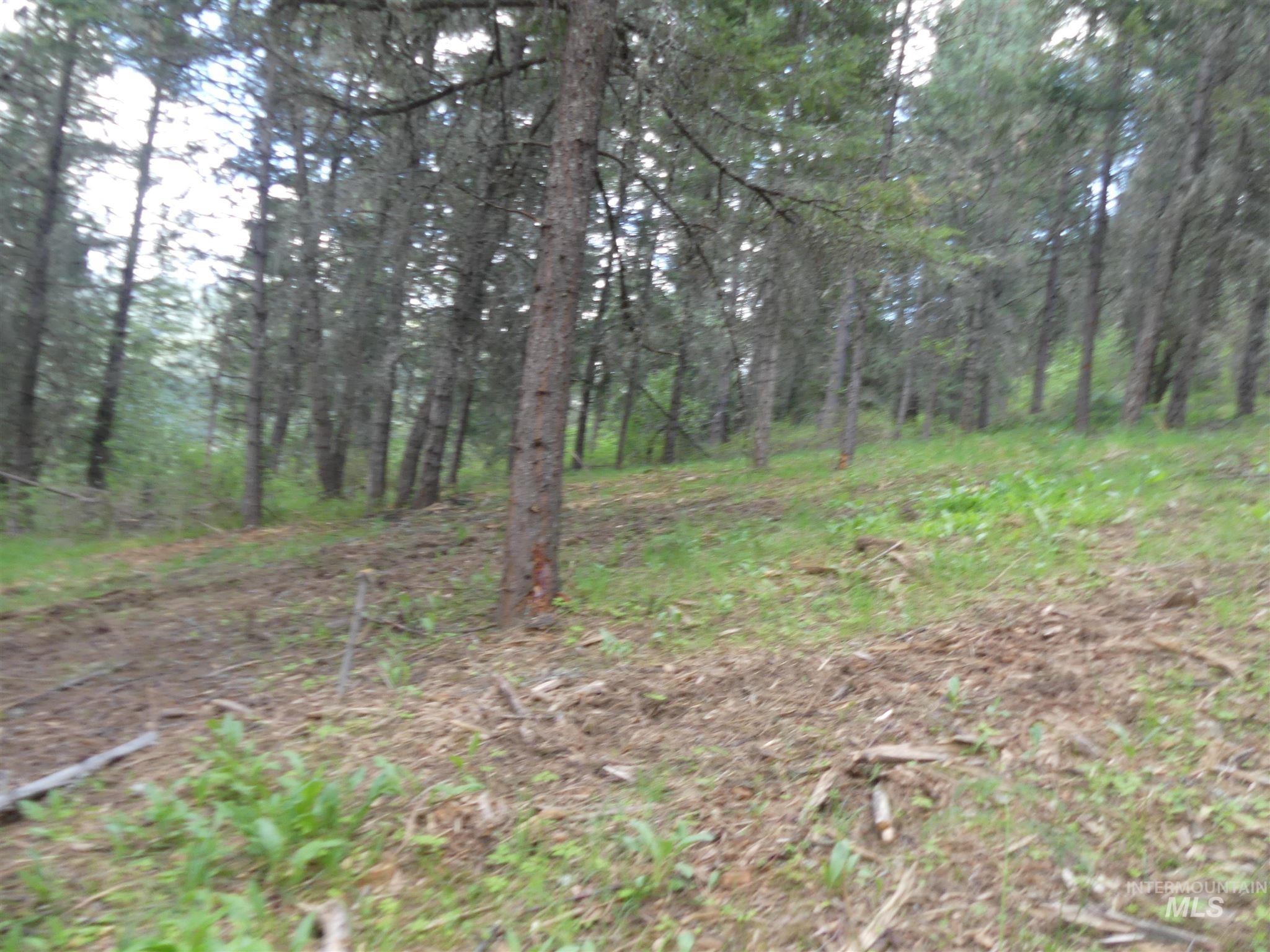 22743 Old Melrose Grade, Peck, Idaho 83545, Land For Sale, Price $200,000,MLS 98915395