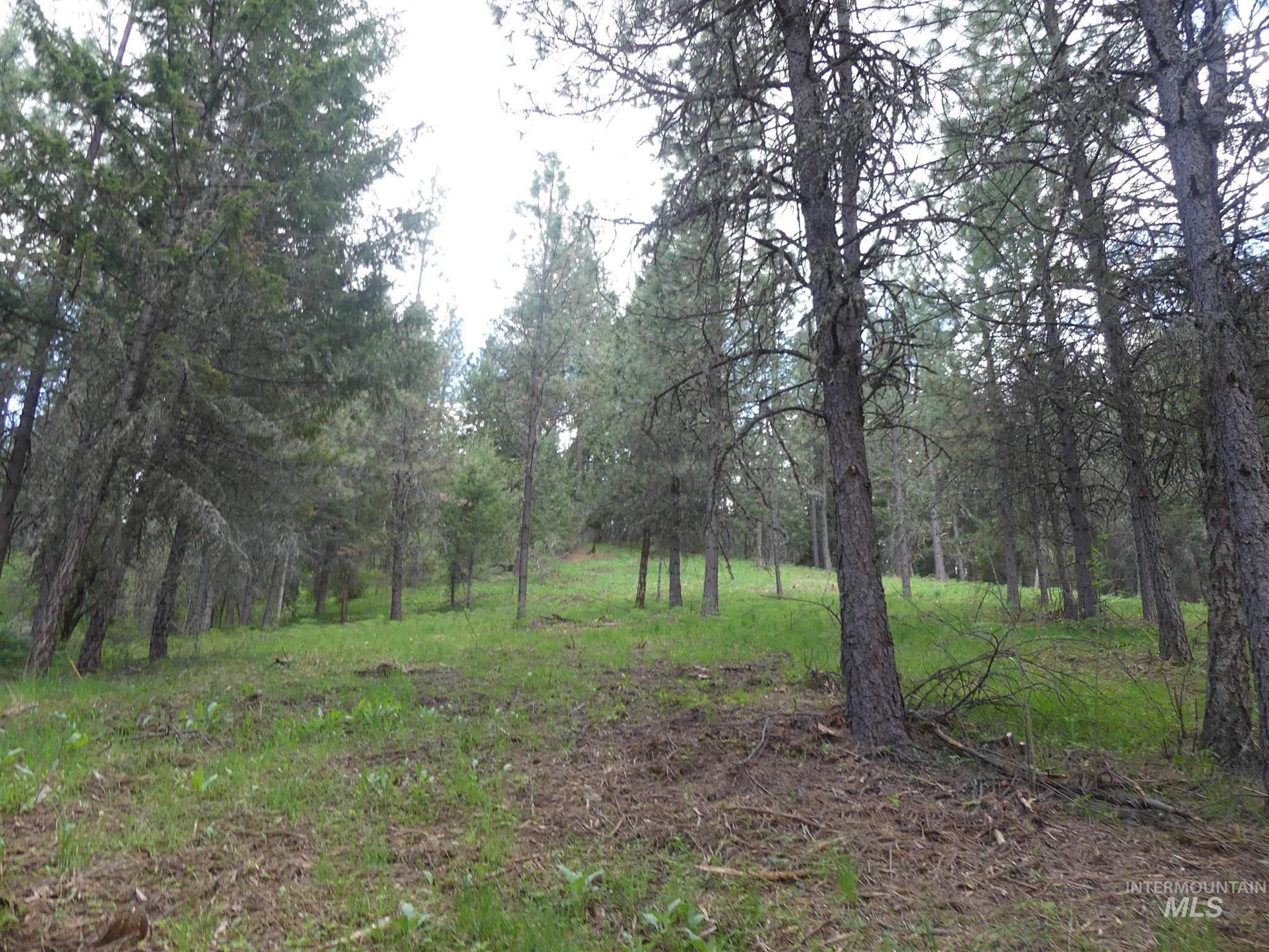 22743 Old Melrose Grade, Peck, Idaho 83545, Land For Sale, Price $200,000,MLS 98915395