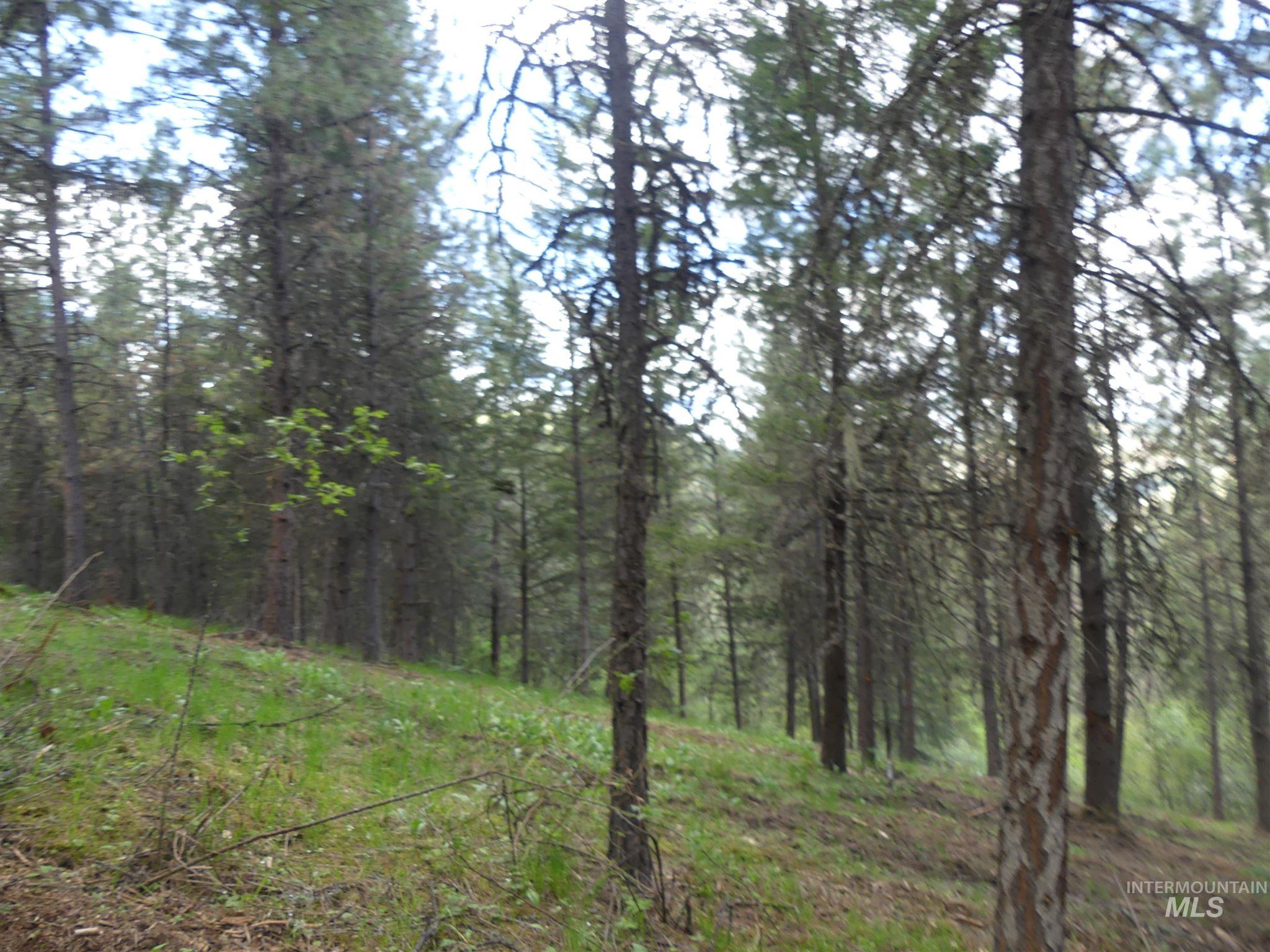 22743 Old Melrose Grade, Peck, Idaho 83545, Land For Sale, Price $200,000,MLS 98915395