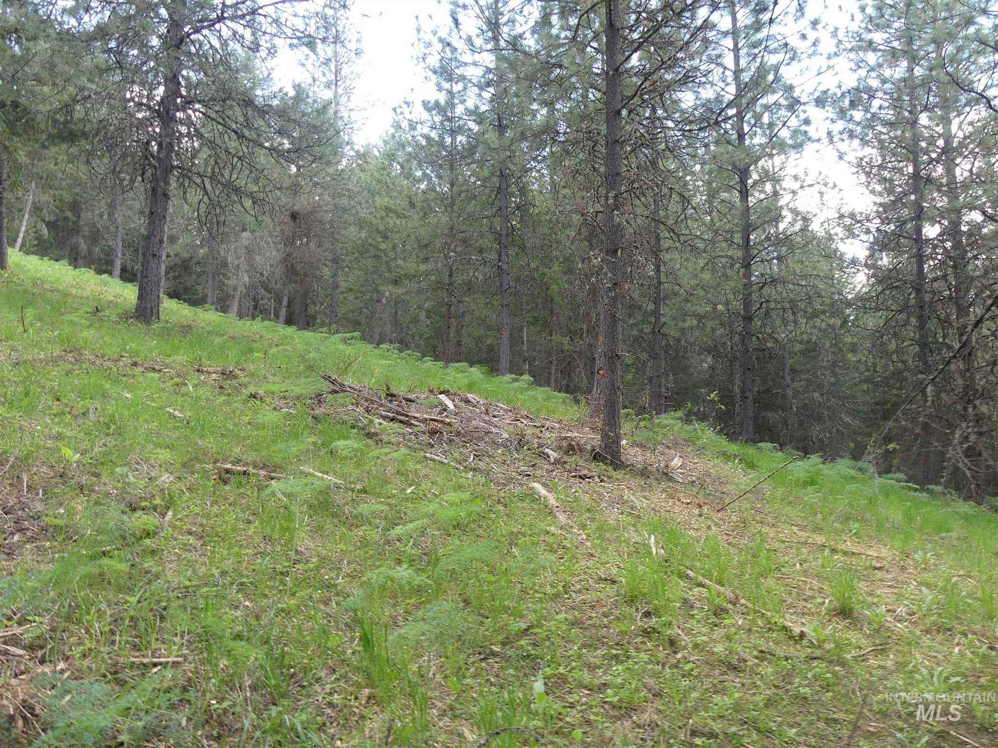 22743 Old Melrose Grade, Peck, Idaho 83545, Land For Sale, Price $200,000,MLS 98915395
