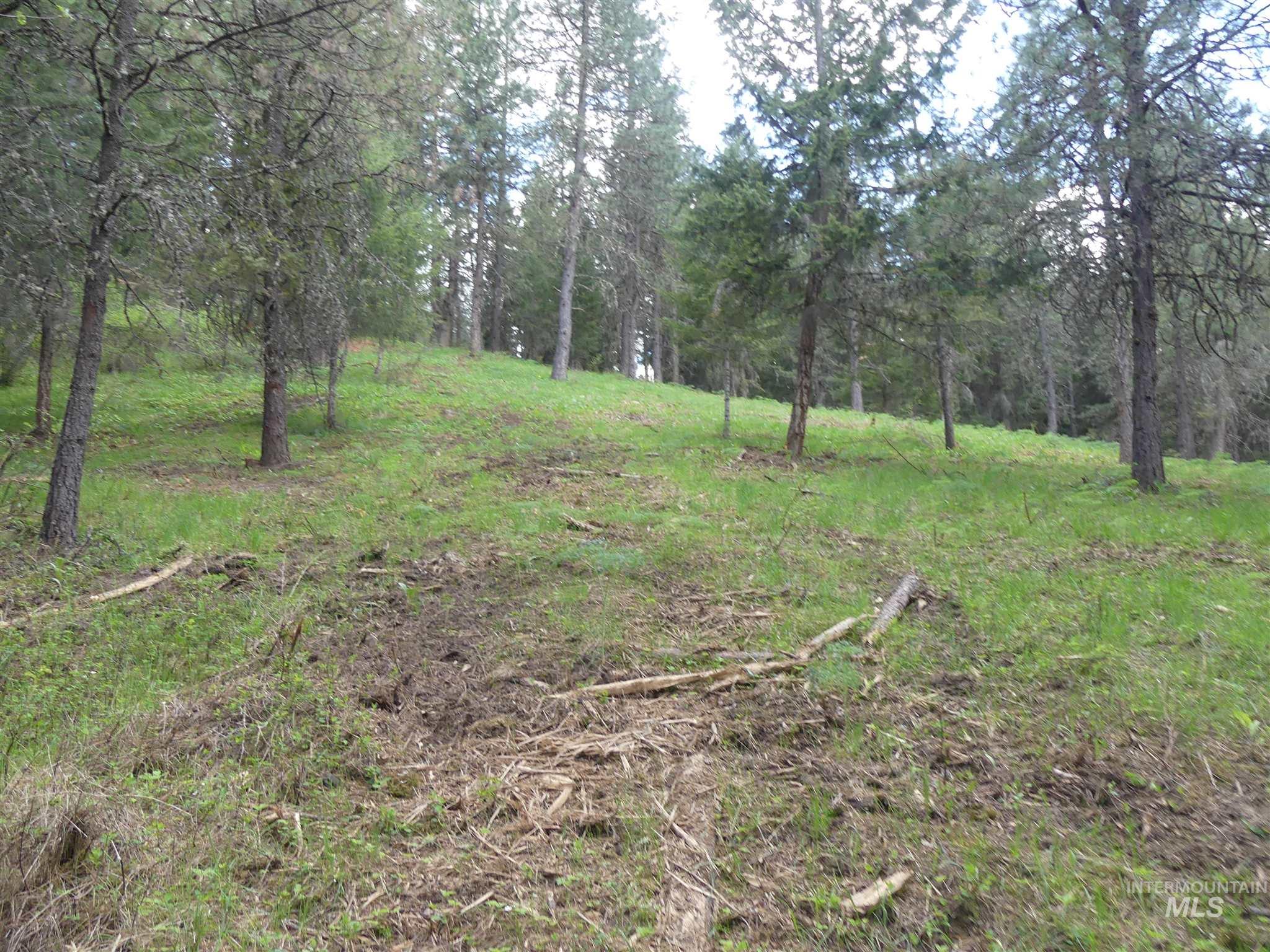 22743 Old Melrose Grade, Peck, Idaho 83545, Land For Sale, Price $200,000,MLS 98915395