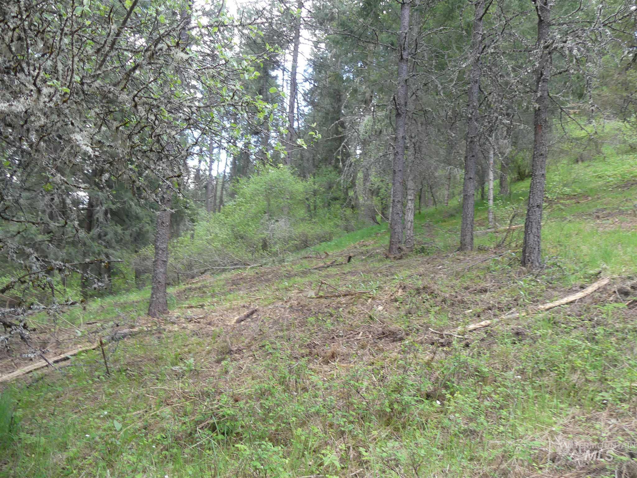 22743 Old Melrose Grade, Peck, Idaho 83545, Land For Sale, Price $200,000,MLS 98915395