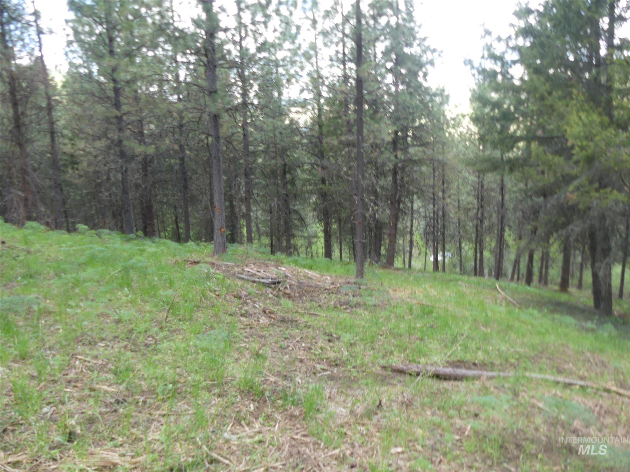 22743 Old Melrose Grade, Peck, Idaho 83545, Land For Sale, Price $200,000,MLS 98915395