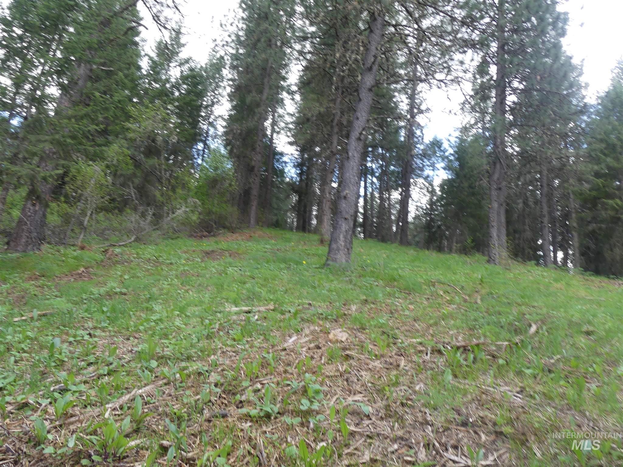 22743 Old Melrose Grade, Peck, Idaho 83545, Land For Sale, Price $200,000,MLS 98915395
