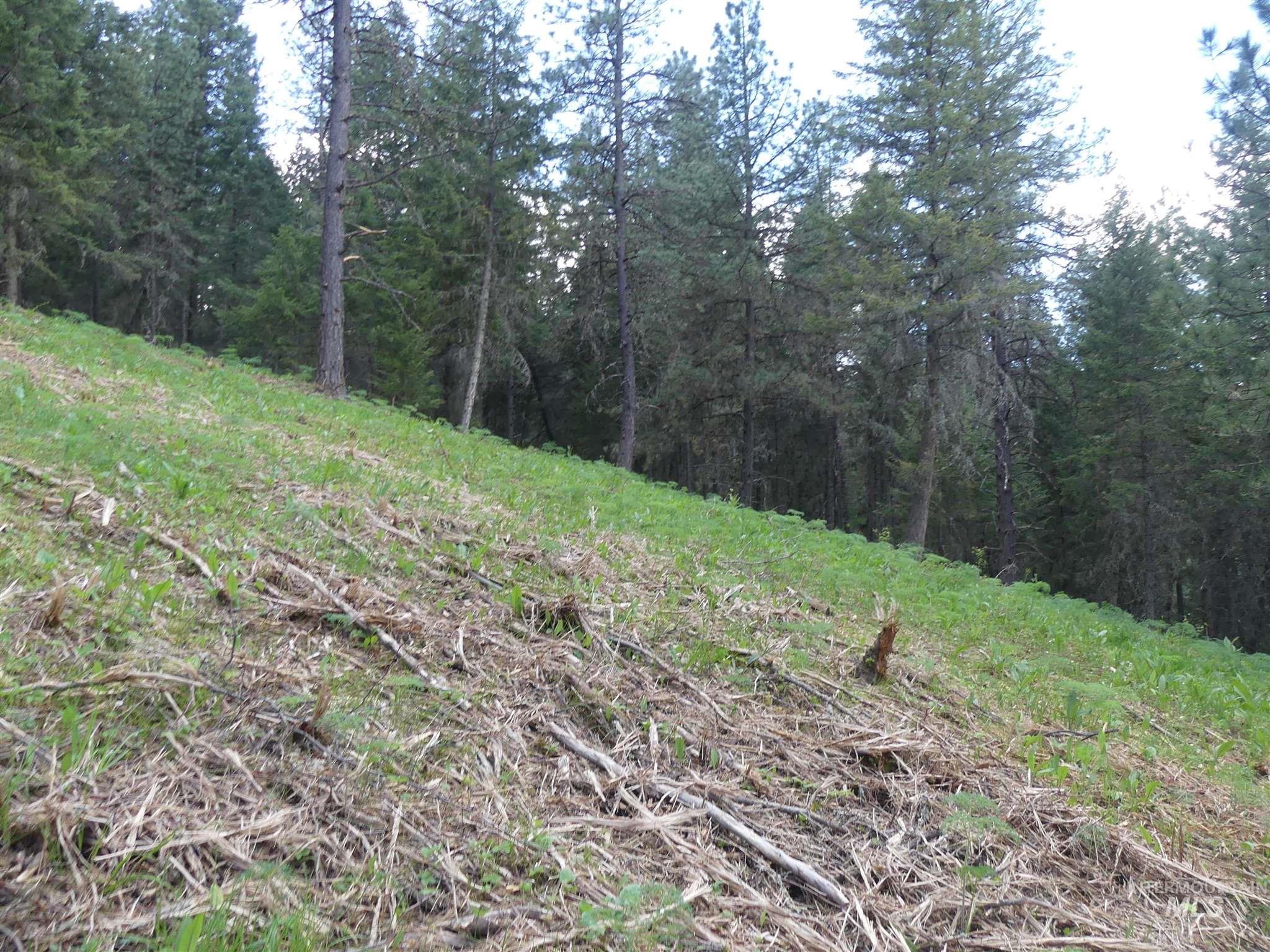 22743 Old Melrose Grade, Peck, Idaho 83545, Land For Sale, Price $200,000,MLS 98915395