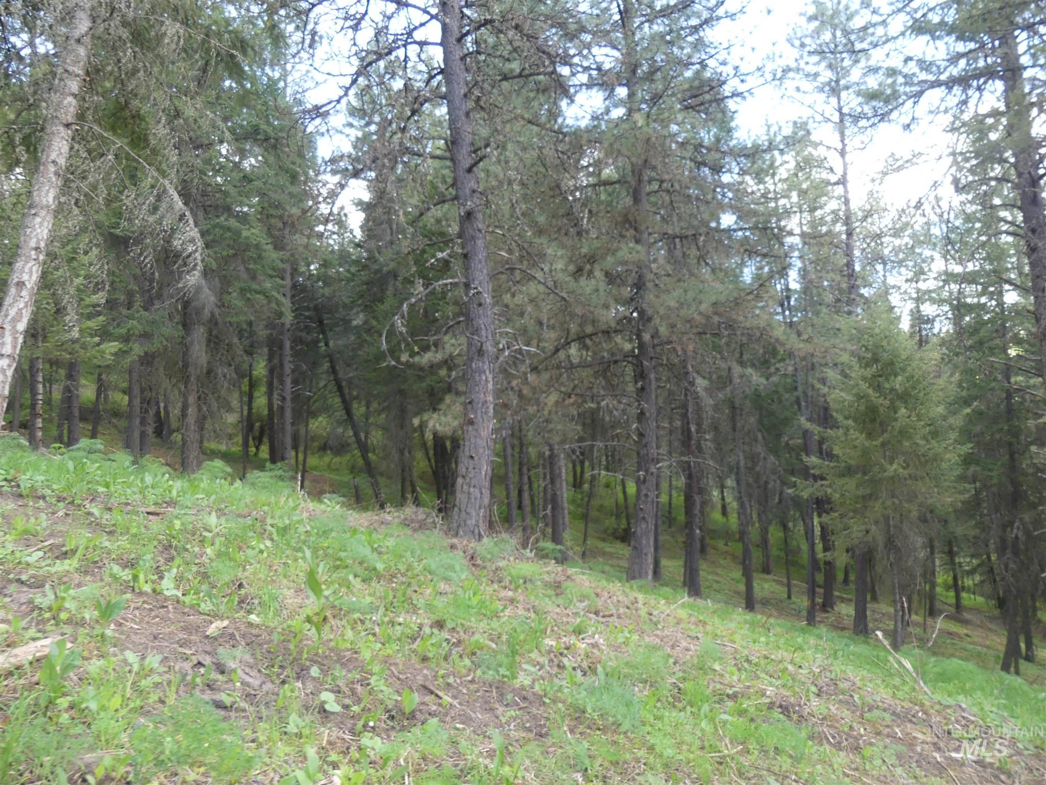 22743 Old Melrose Grade, Peck, Idaho 83545, Land For Sale, Price $200,000,MLS 98915395