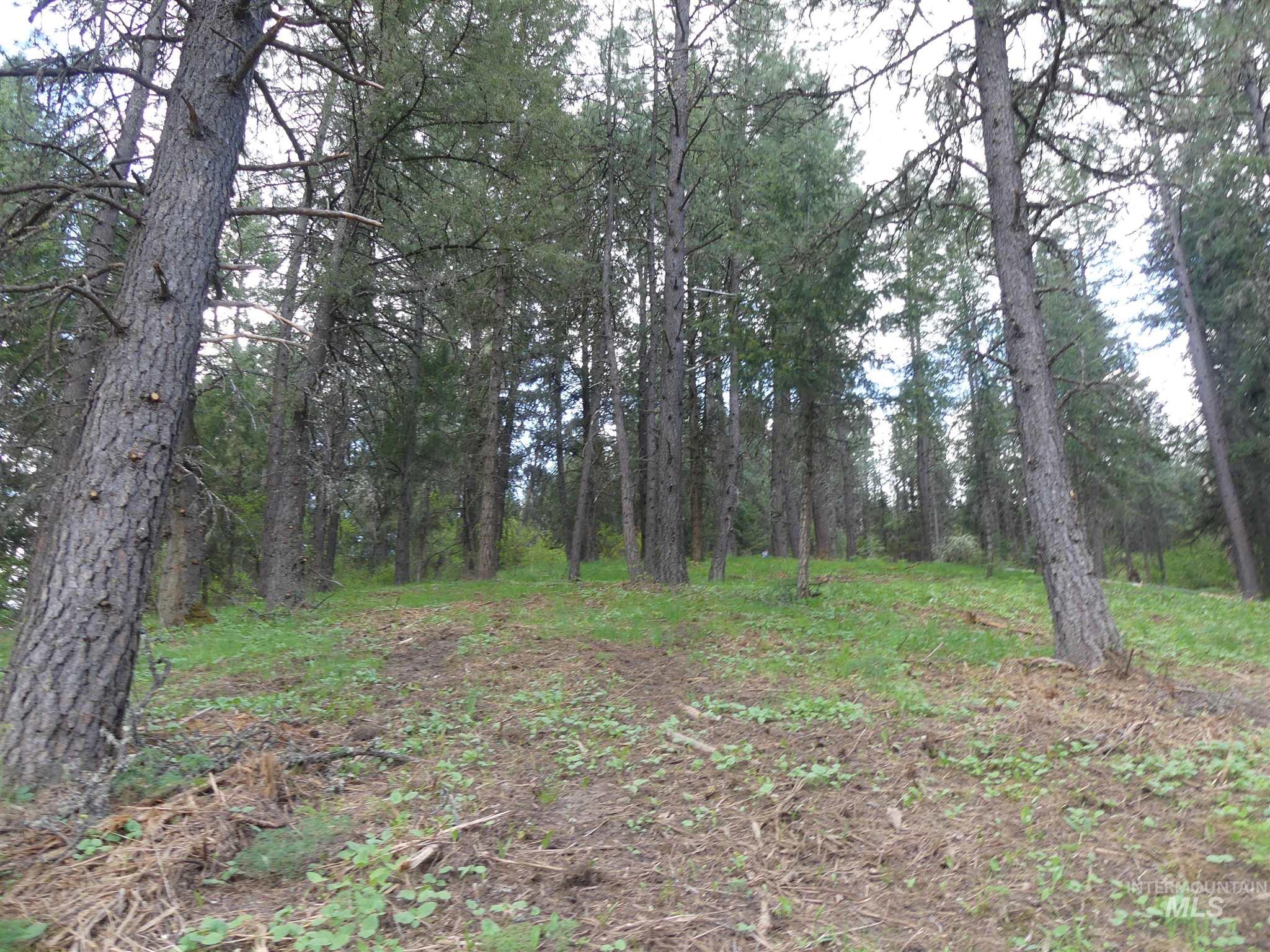22743 Old Melrose Grade, Peck, Idaho 83545, Land For Sale, Price $200,000,MLS 98915395