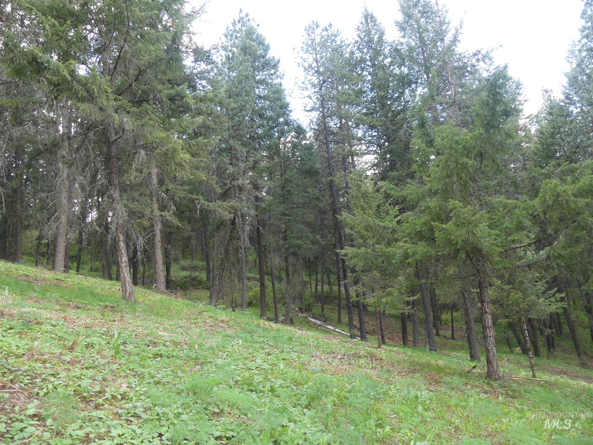 22743 Old Melrose Grade, Peck, Idaho 83545, Land For Sale, Price $200,000,MLS 98915395