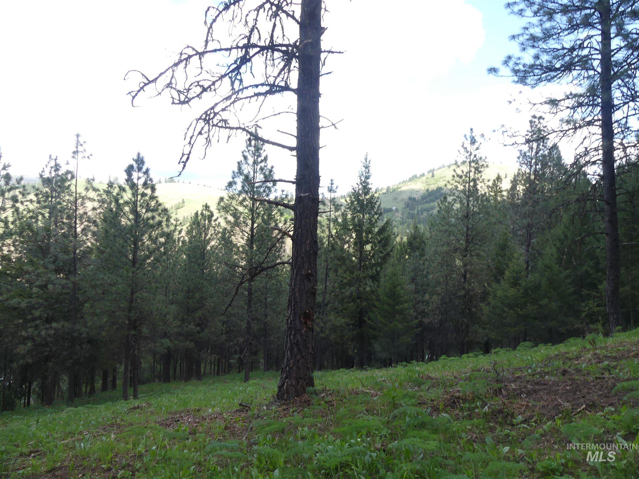 22743 Old Melrose Grade, Peck, Idaho 83545, Land For Sale, Price $200,000,MLS 98915395