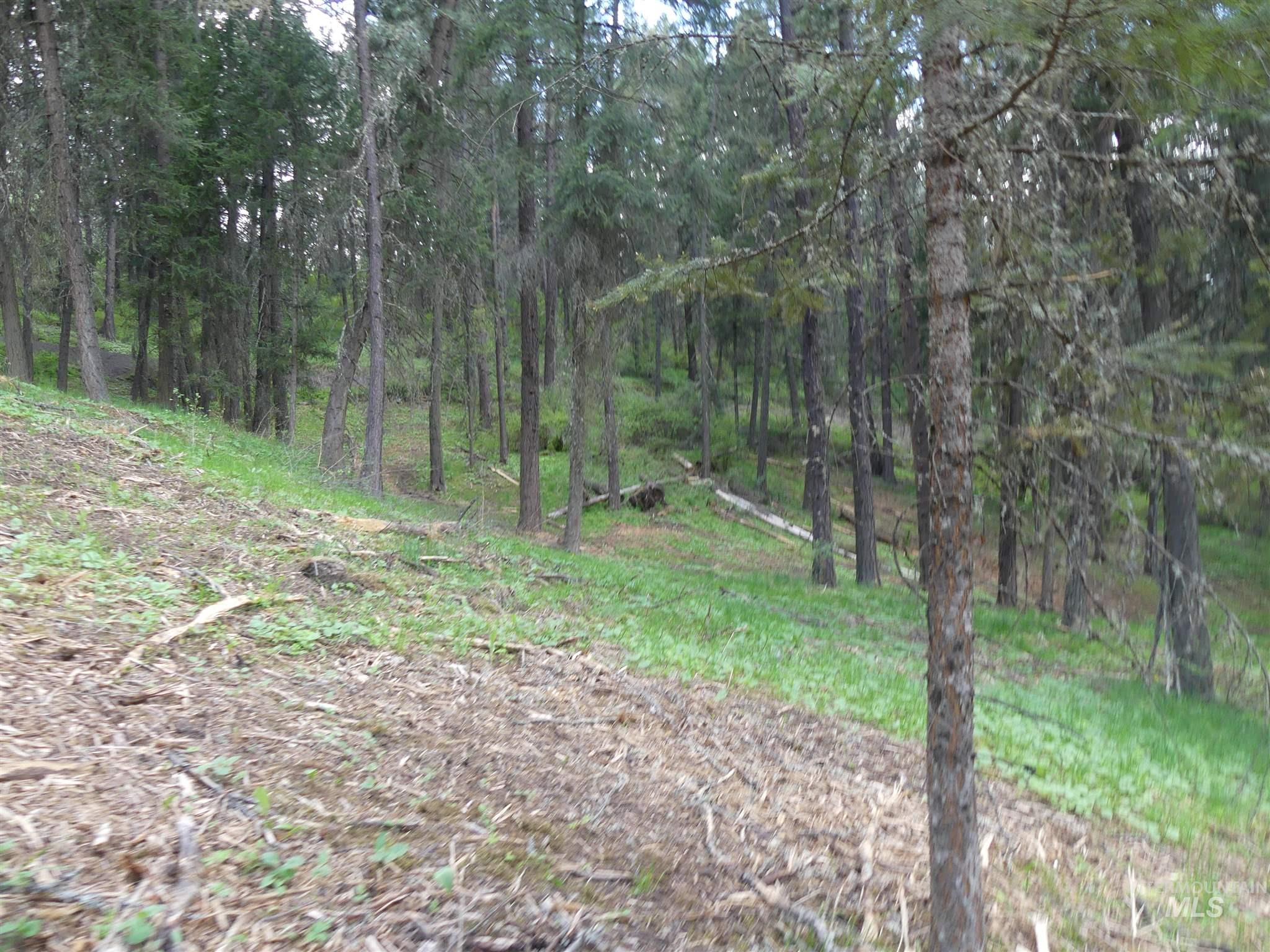22743 Old Melrose Grade, Peck, Idaho 83545, Land For Sale, Price $200,000,MLS 98915395