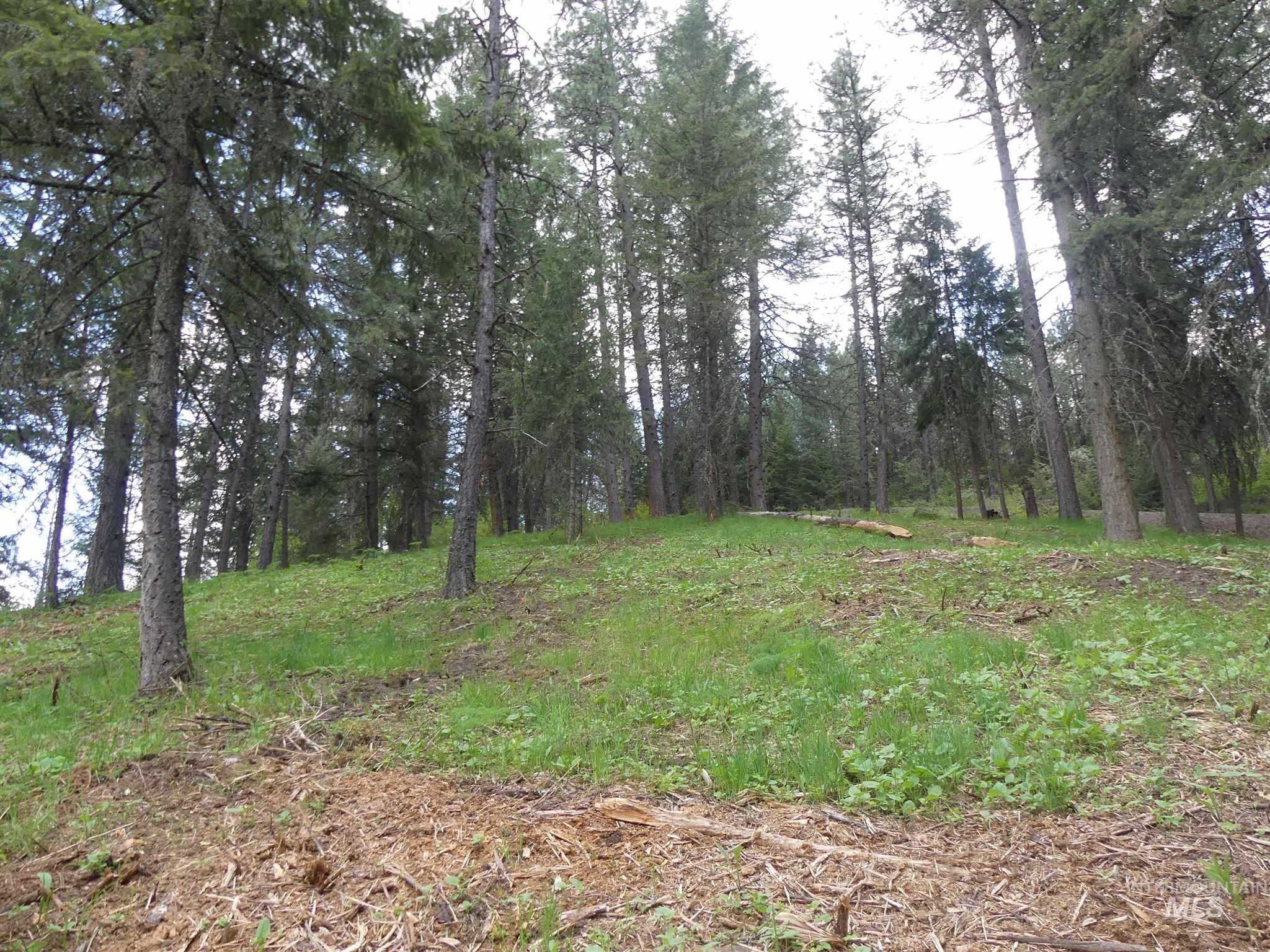 22743 Old Melrose Grade, Peck, Idaho 83545, Land For Sale, Price $200,000,MLS 98915395